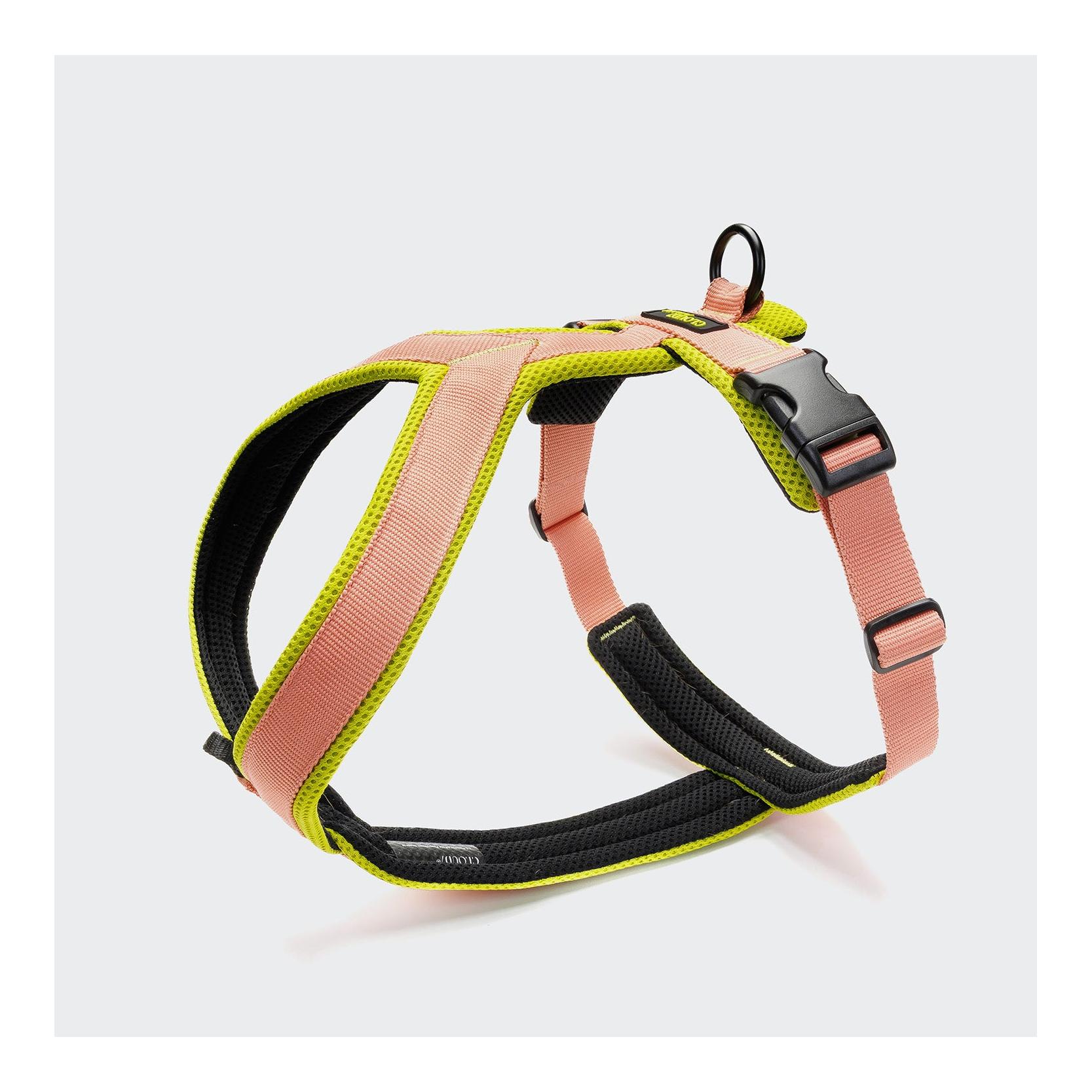 Peach / Neon Green