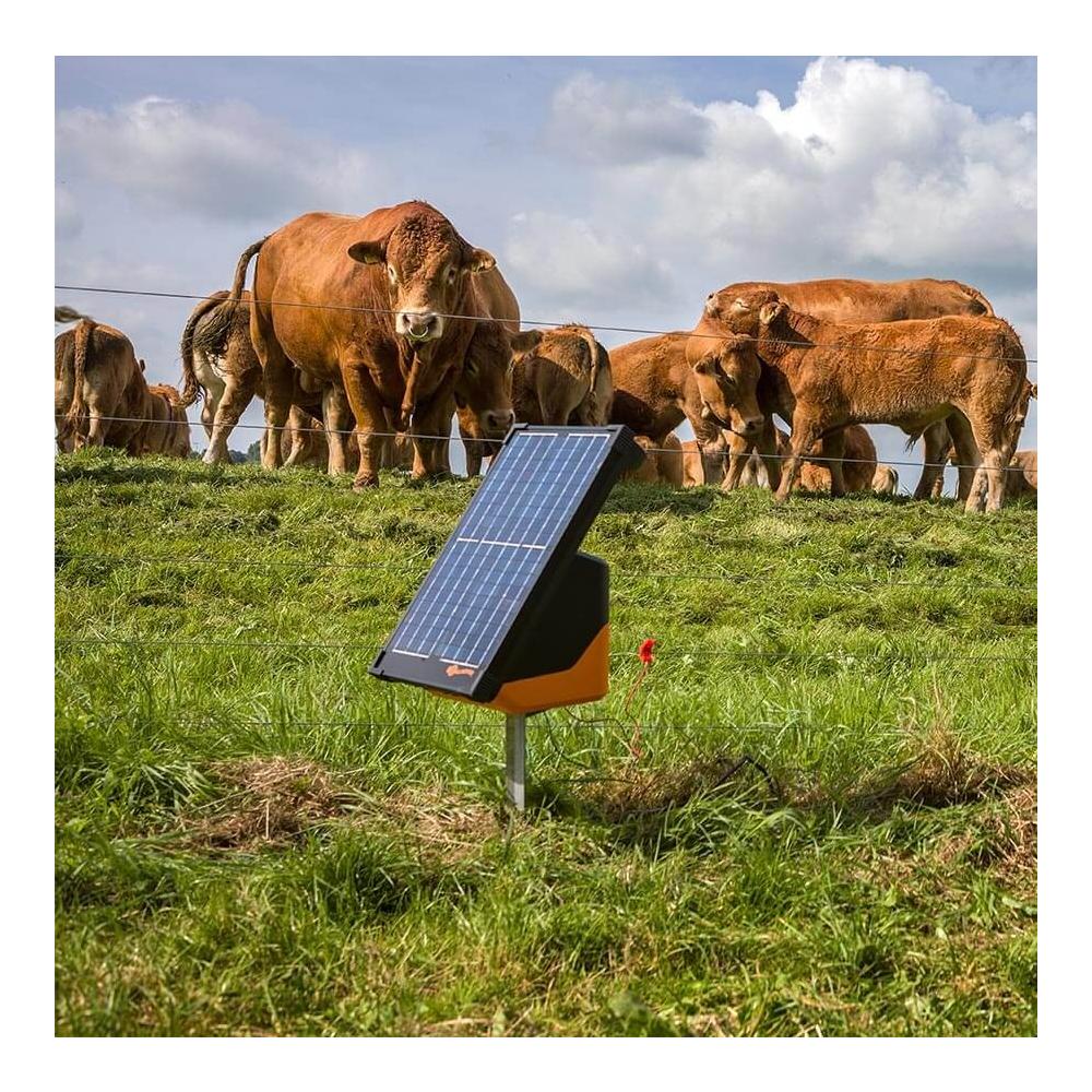 Gallagher Solargerät S200 - inkl. 2 Akkus