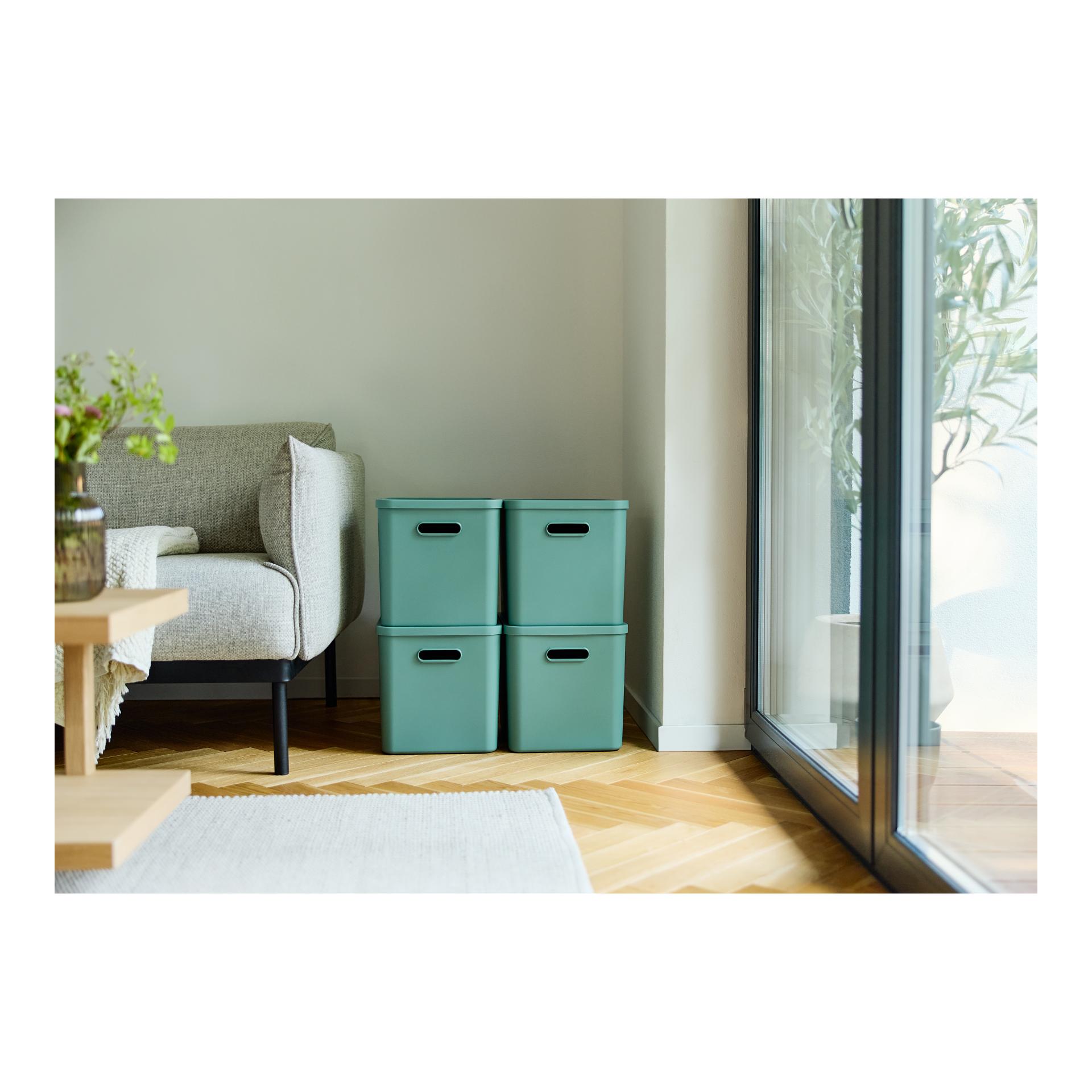 Rotho Multibox ALBULA
