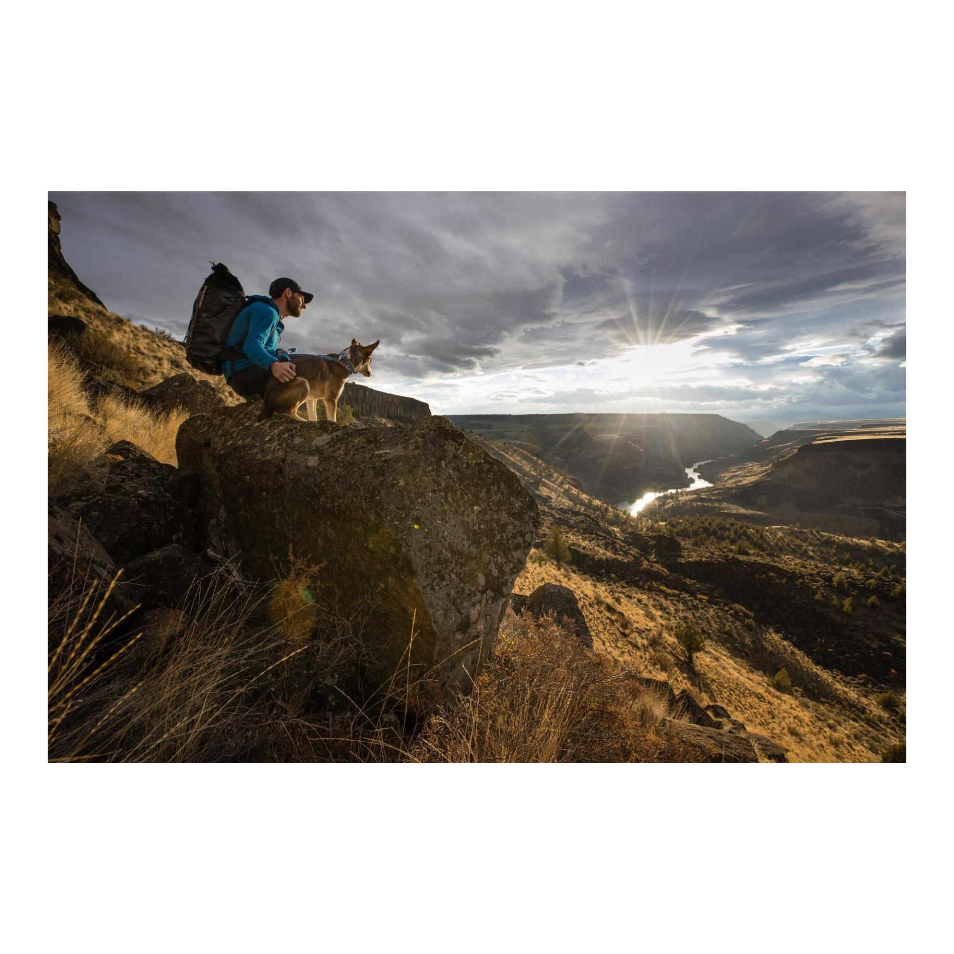 Ruffwear Collier Hi &amp; Light™