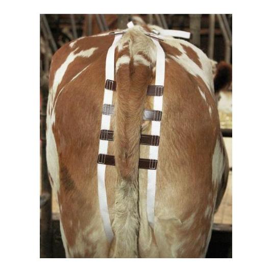Kerbl Bandage pour vaches
