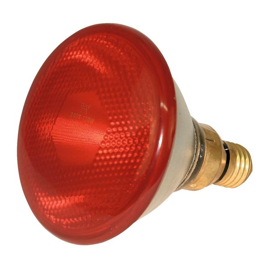 Kerbl Hobbyfarming Infrarot-Sparlampe rot PAR38