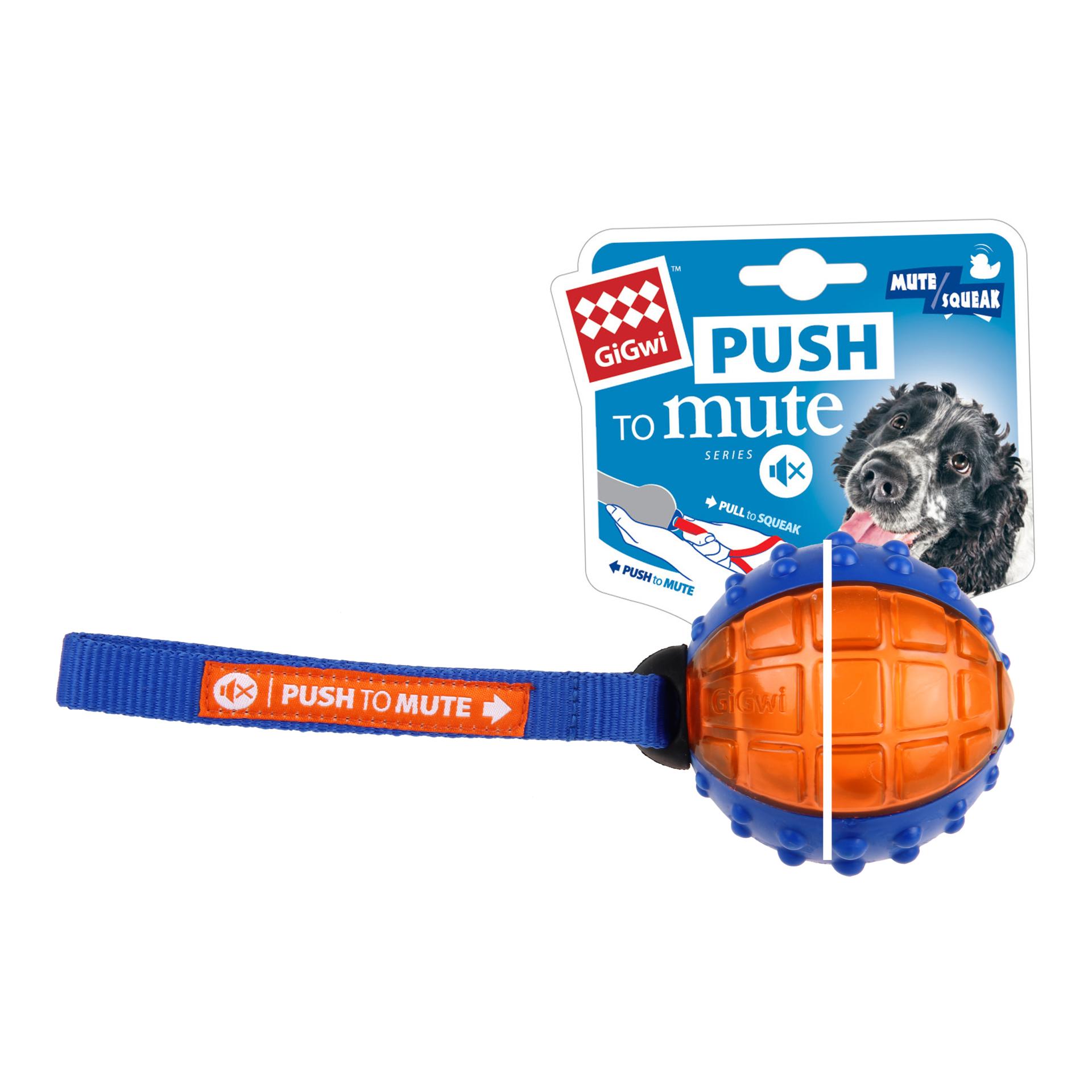 Gigwi Anneau d'entraînement 60cm