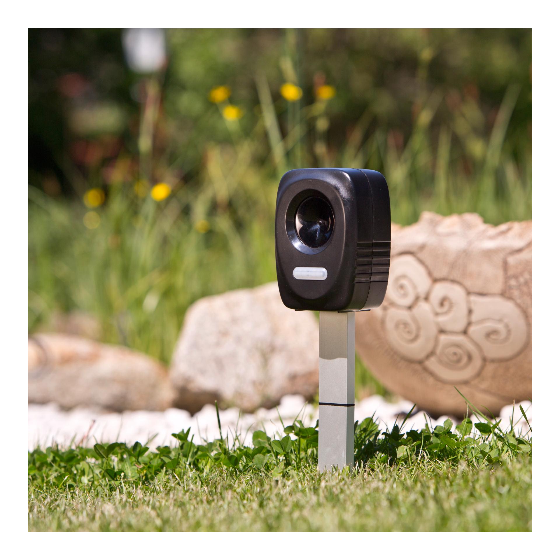 Windhager Hunde-/Katzen-/Marder-Schreck «Ultrasonic»