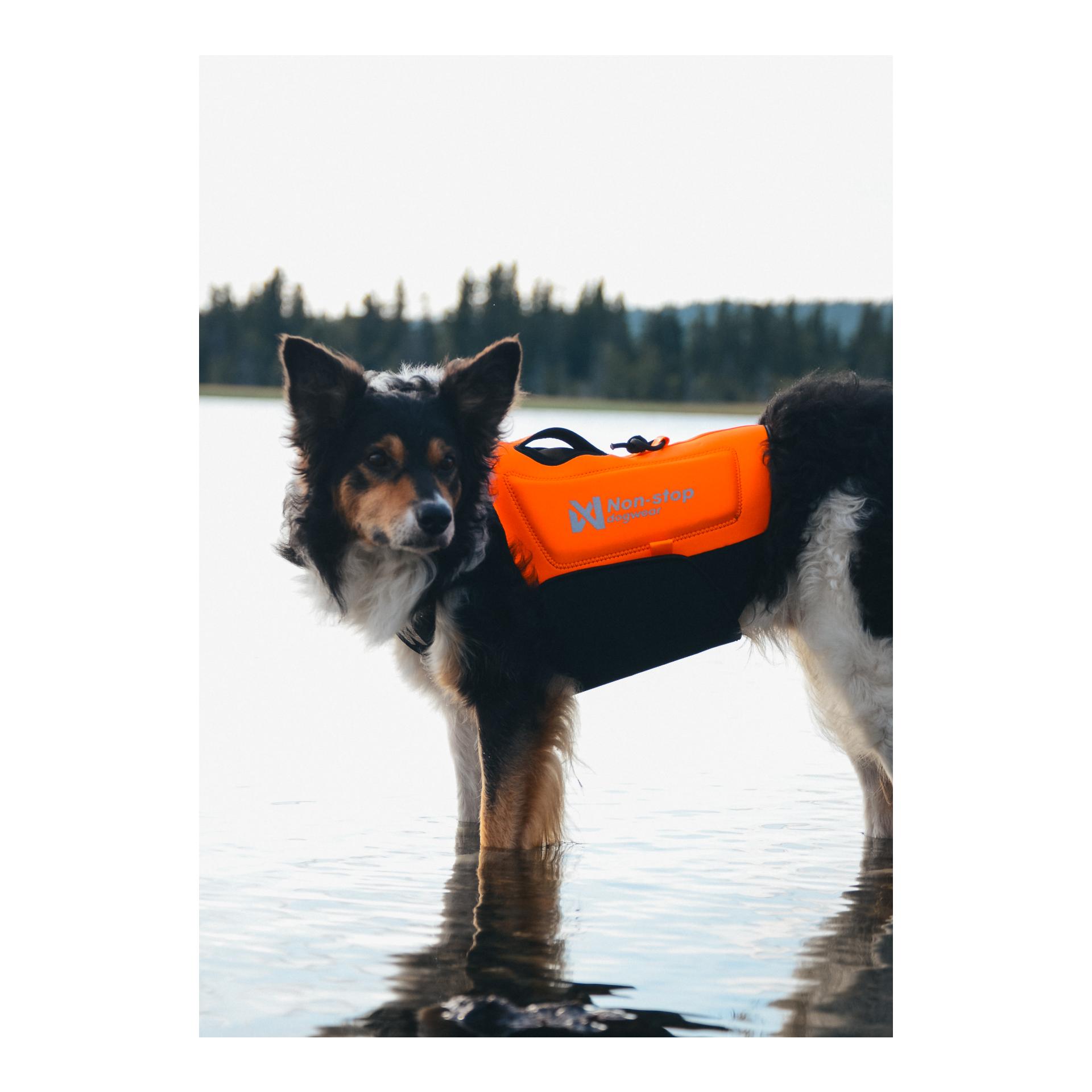 Non-stop Dogwear Gilet de protection en néoprène