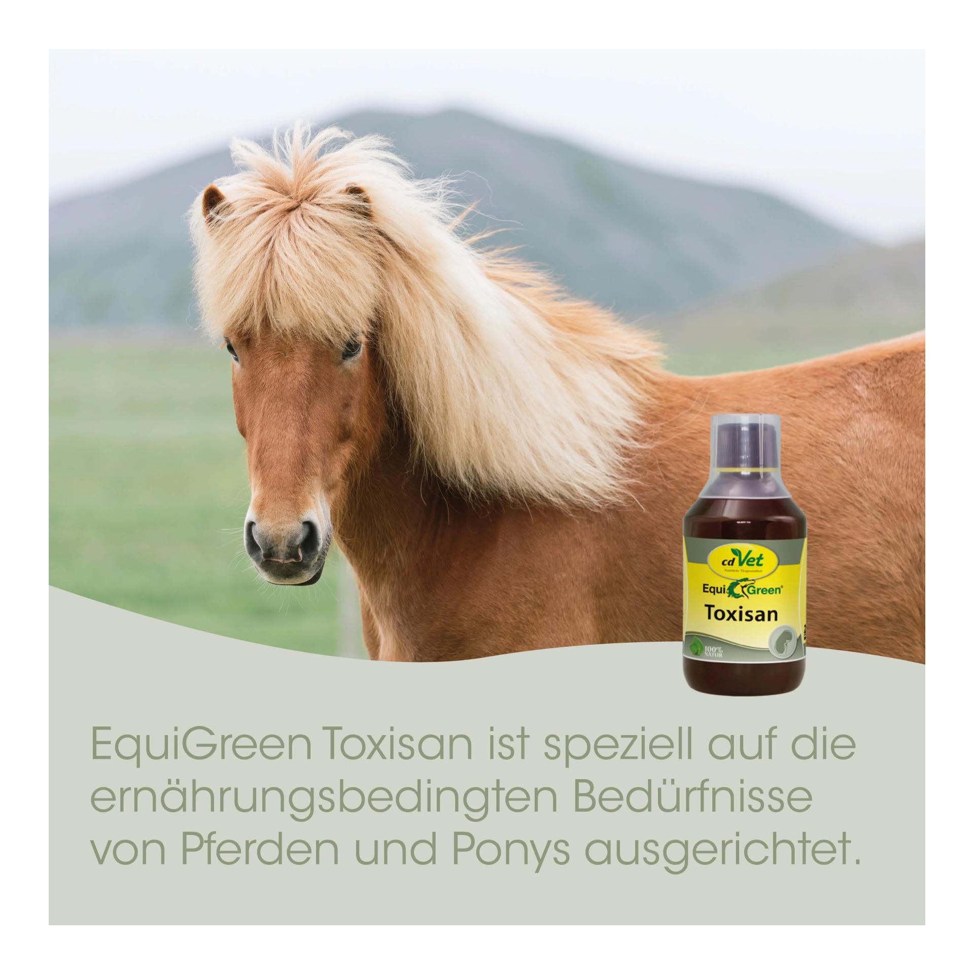 cdVet EquiGreen Toxisan