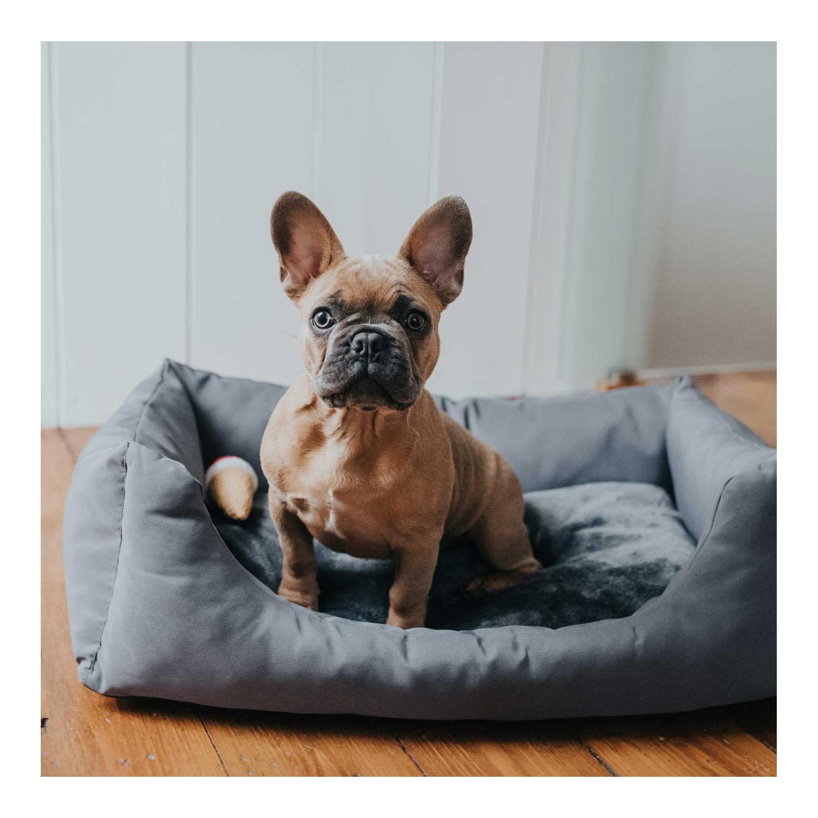Hunter Hundesofa Ravina - grau