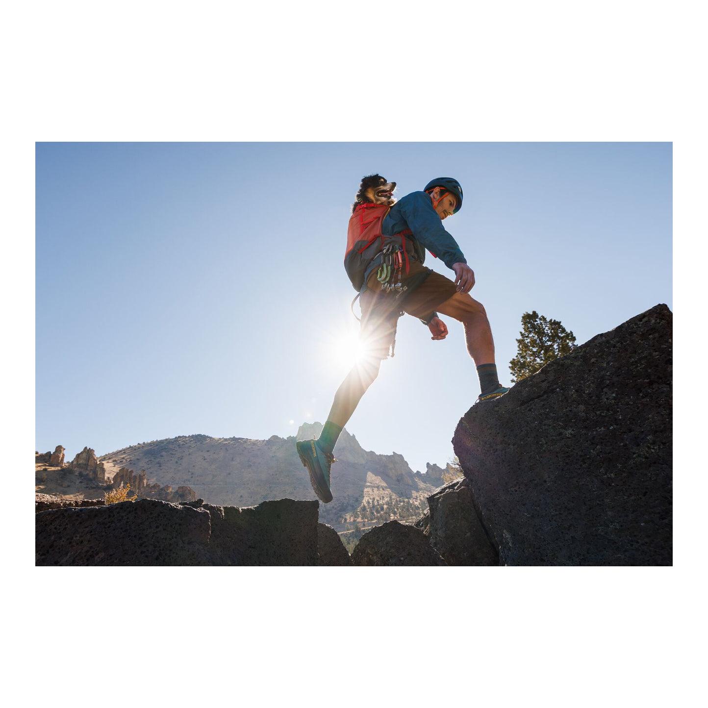 Ruffwear Hundetragetasche Hitch Hiker