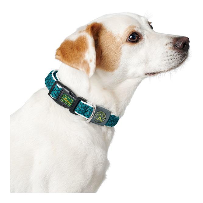 Hunter Hundehalsband Hilo Vario Basic - türkis