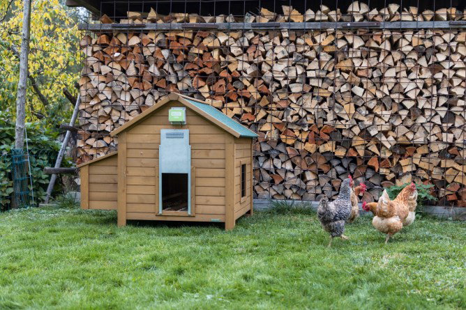 Kerbl Hobbyfarming Automatische Steuerung für Hühnertür Basic
