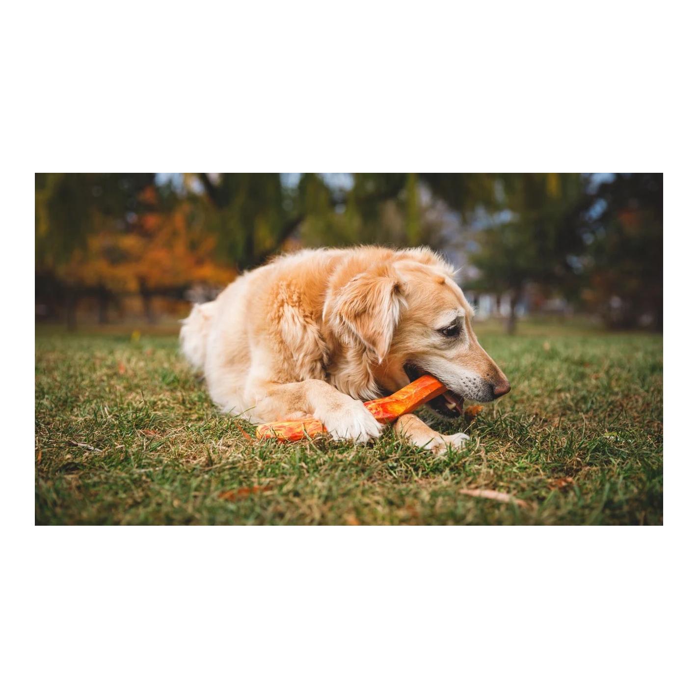 Ruffwear Hundespielzeug Gnawt-a-Stick