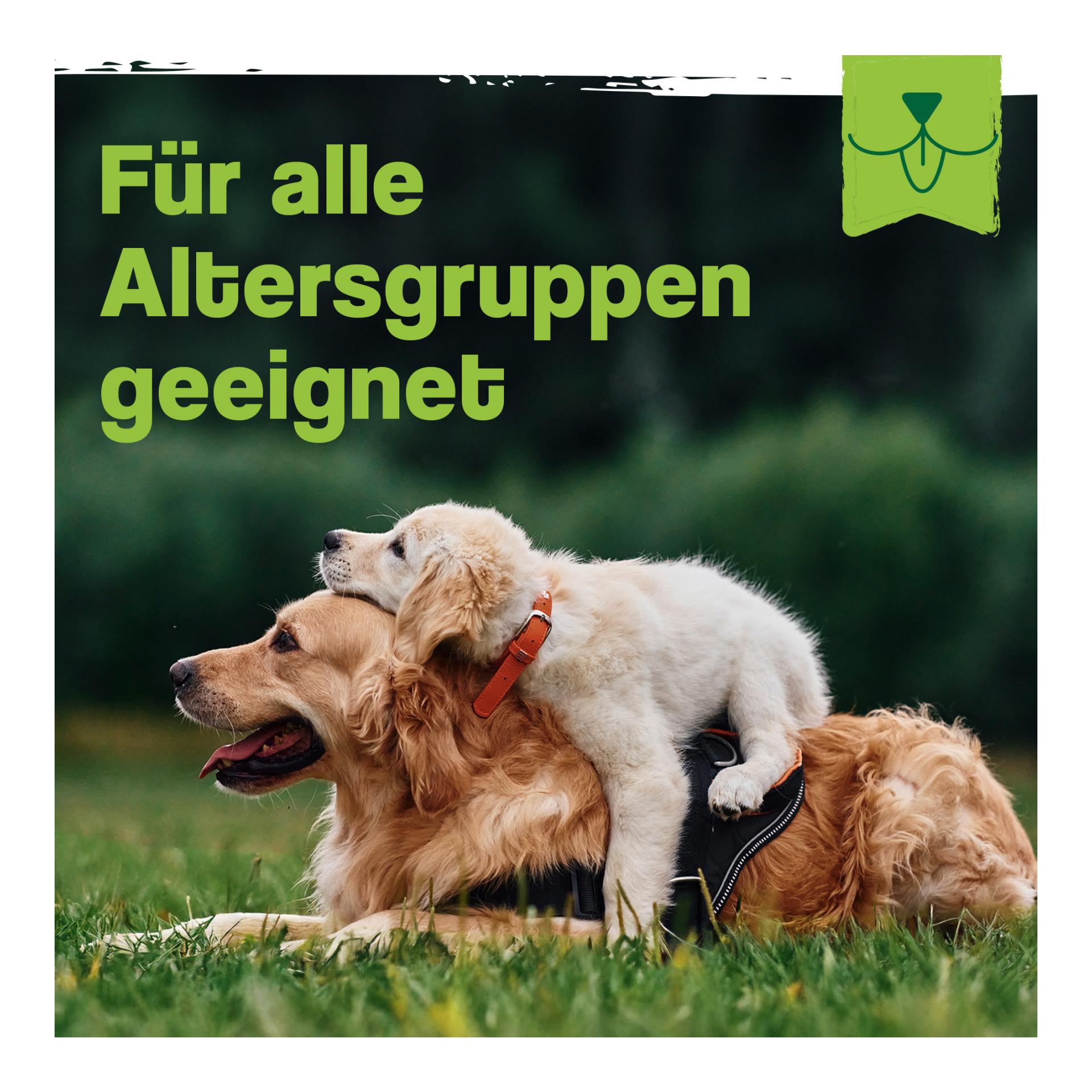 IdaPlus Darmbiotic Pulver - Probiotika zur Darmsanierung für den Hund
