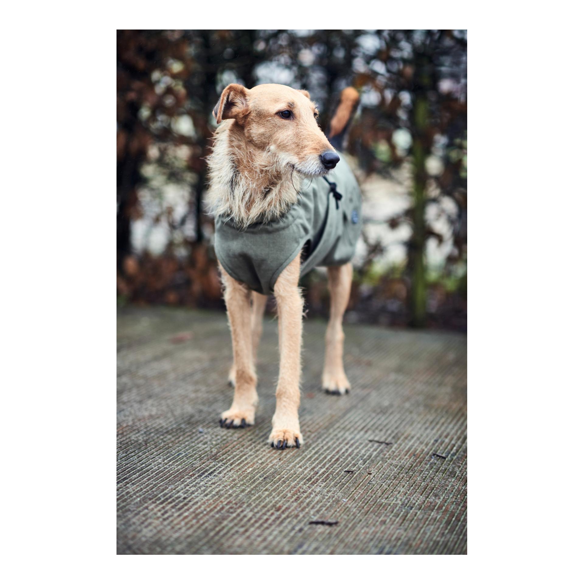 Hunter Manteau pour chien Uppsala Trend - kaki
