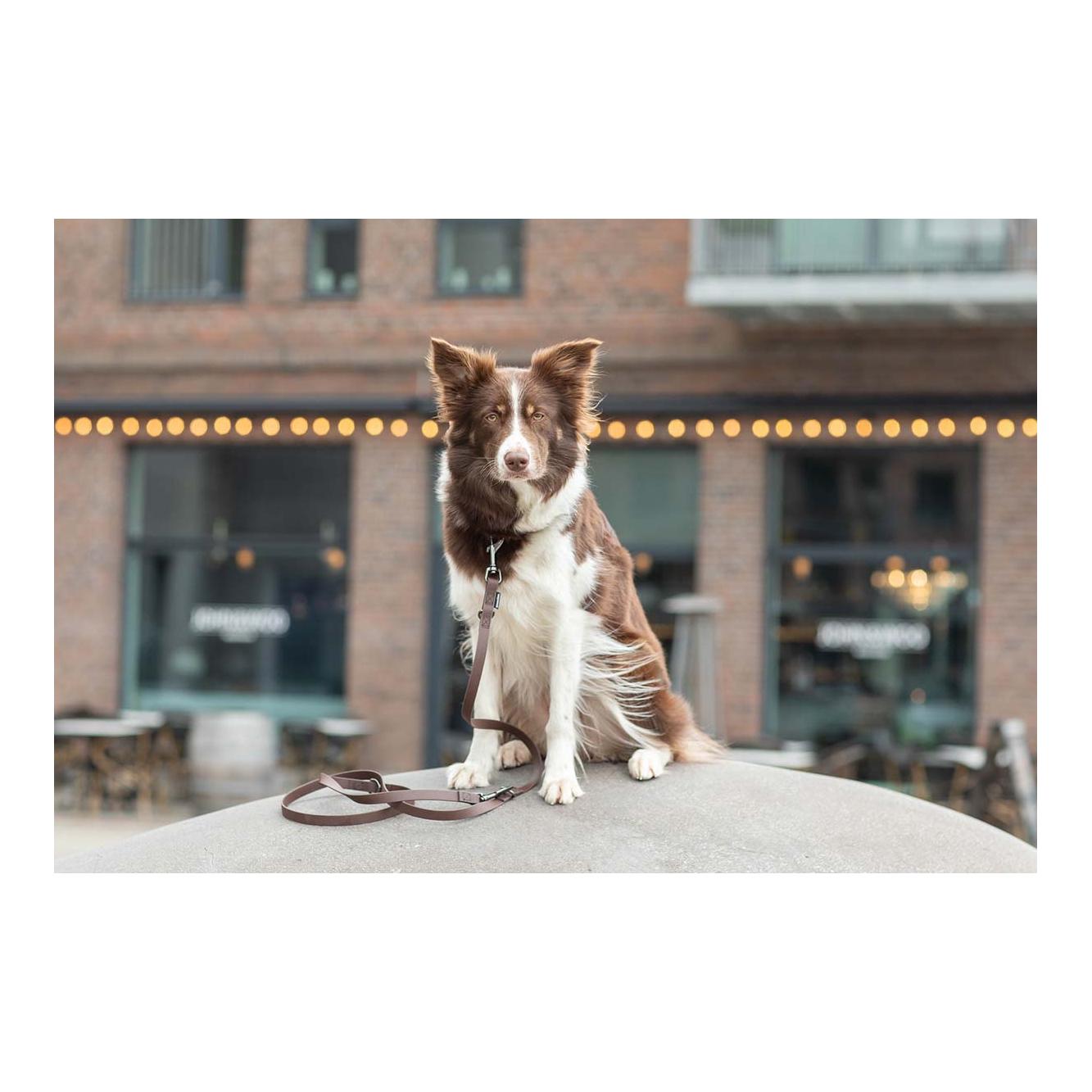 Treusinn. Laisse pour chien Biothane STAY réglable, 2m