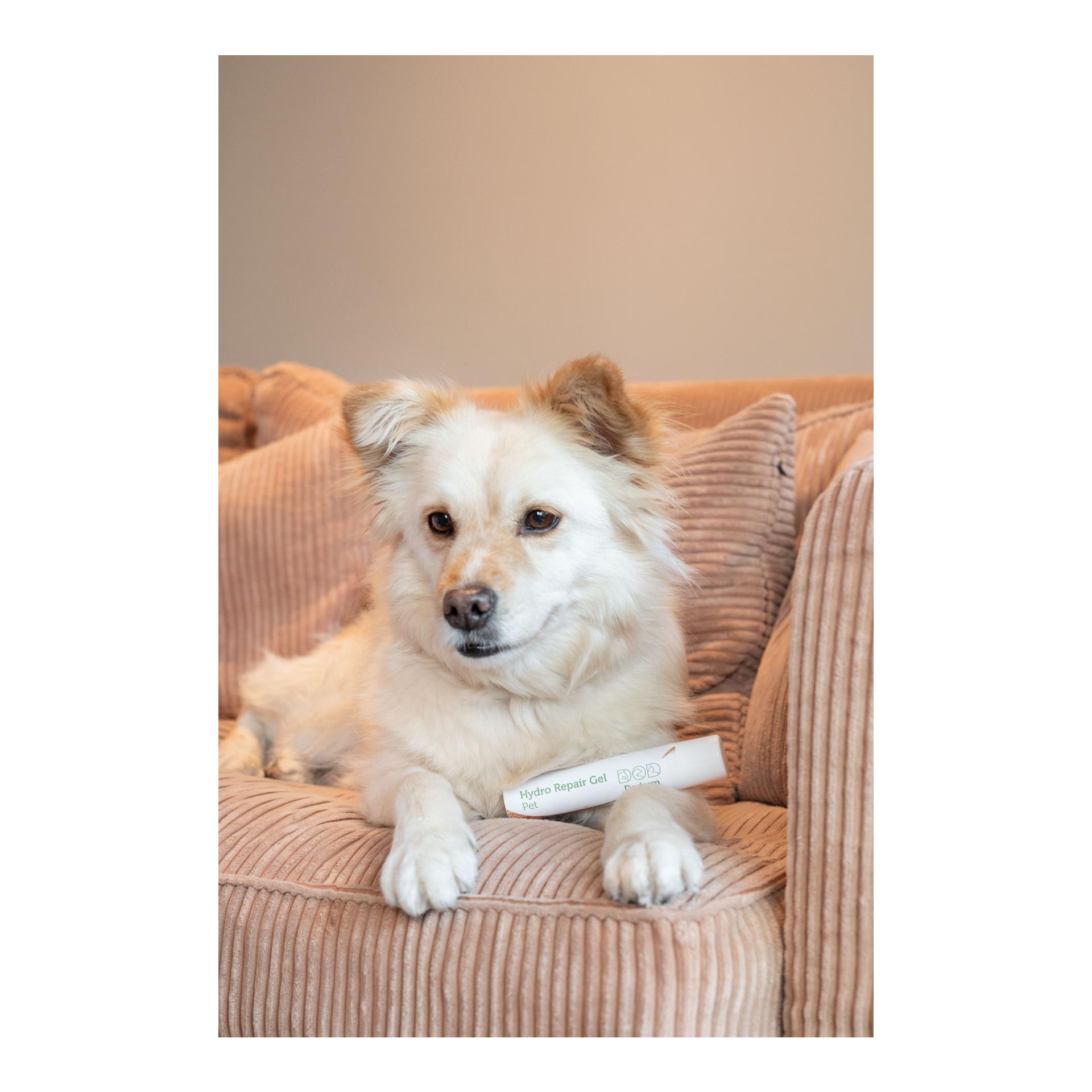 Doderm Hydro Repair Gel Pet
