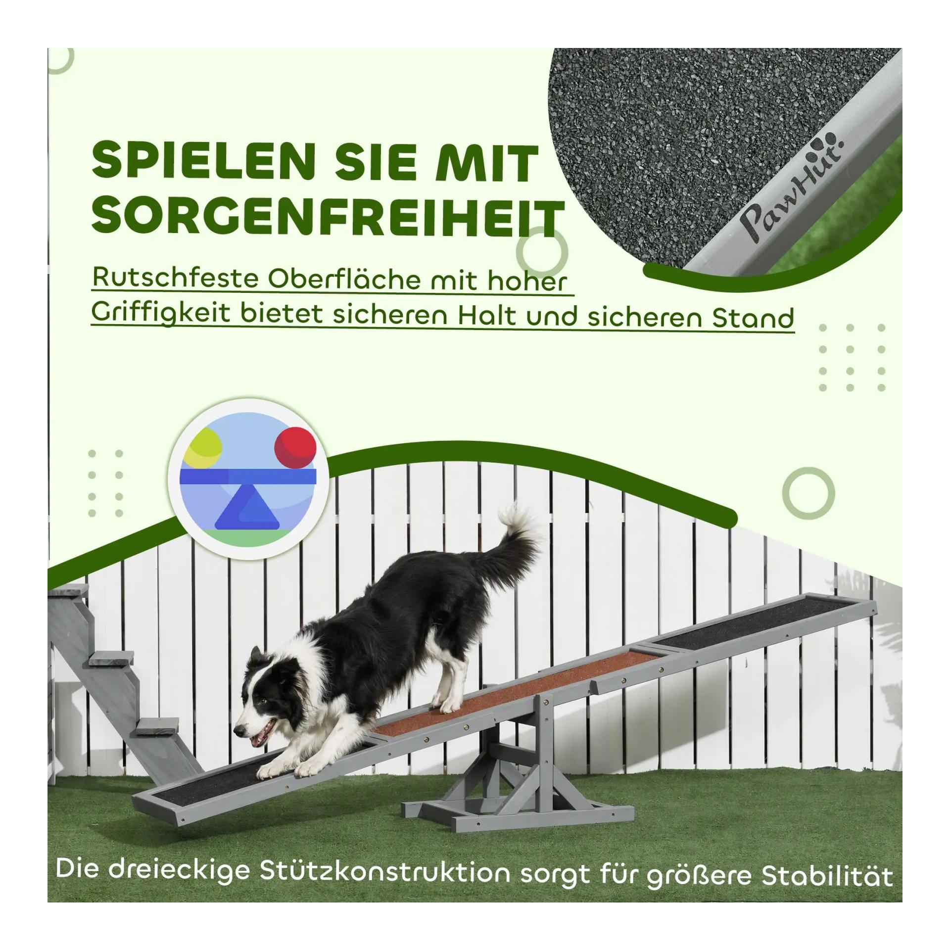 Mainer Hunde Aquility-Wippe