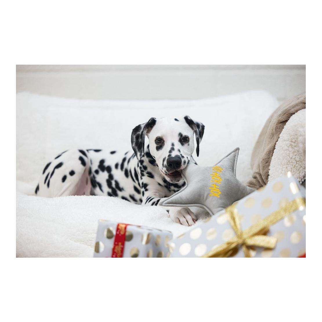 Designed by Lotte Jouet pour chien Étoile de Noël en velours