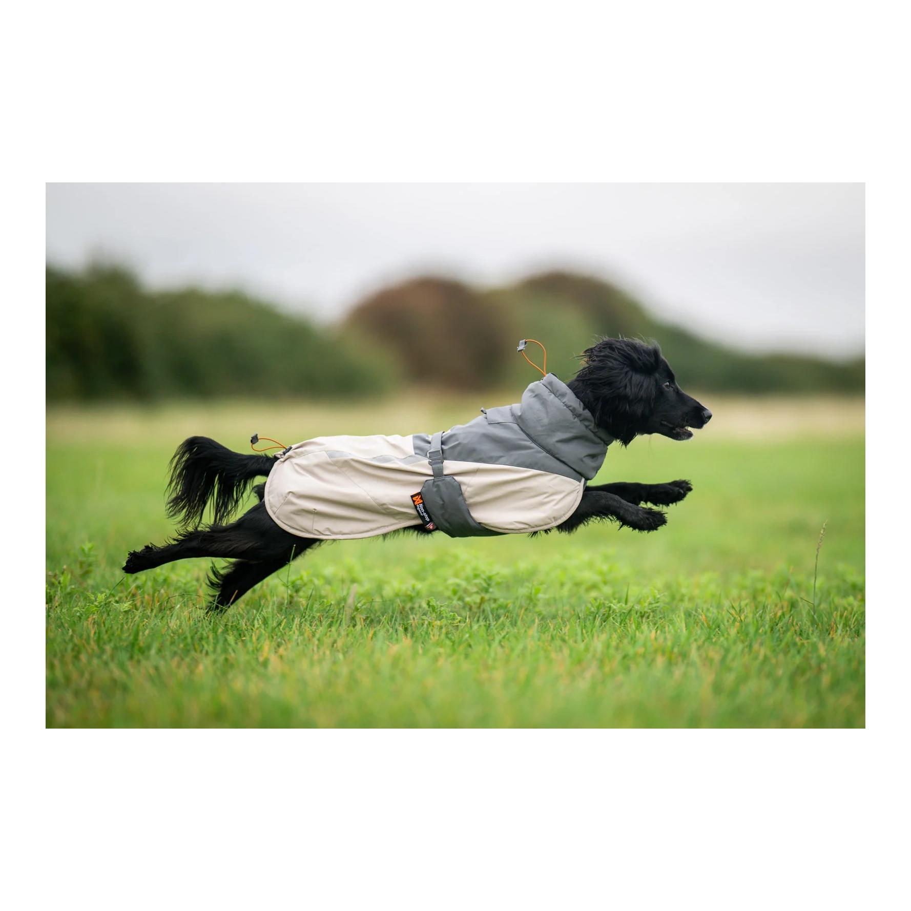 Non-stop Dogwear Veste d'hiver pour chien Glacier wool jacket 3.0