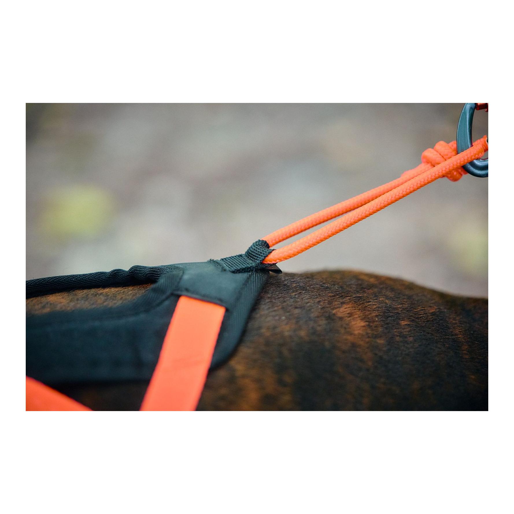 Non-stop Dogwear Harnais pour chien Rush Harness