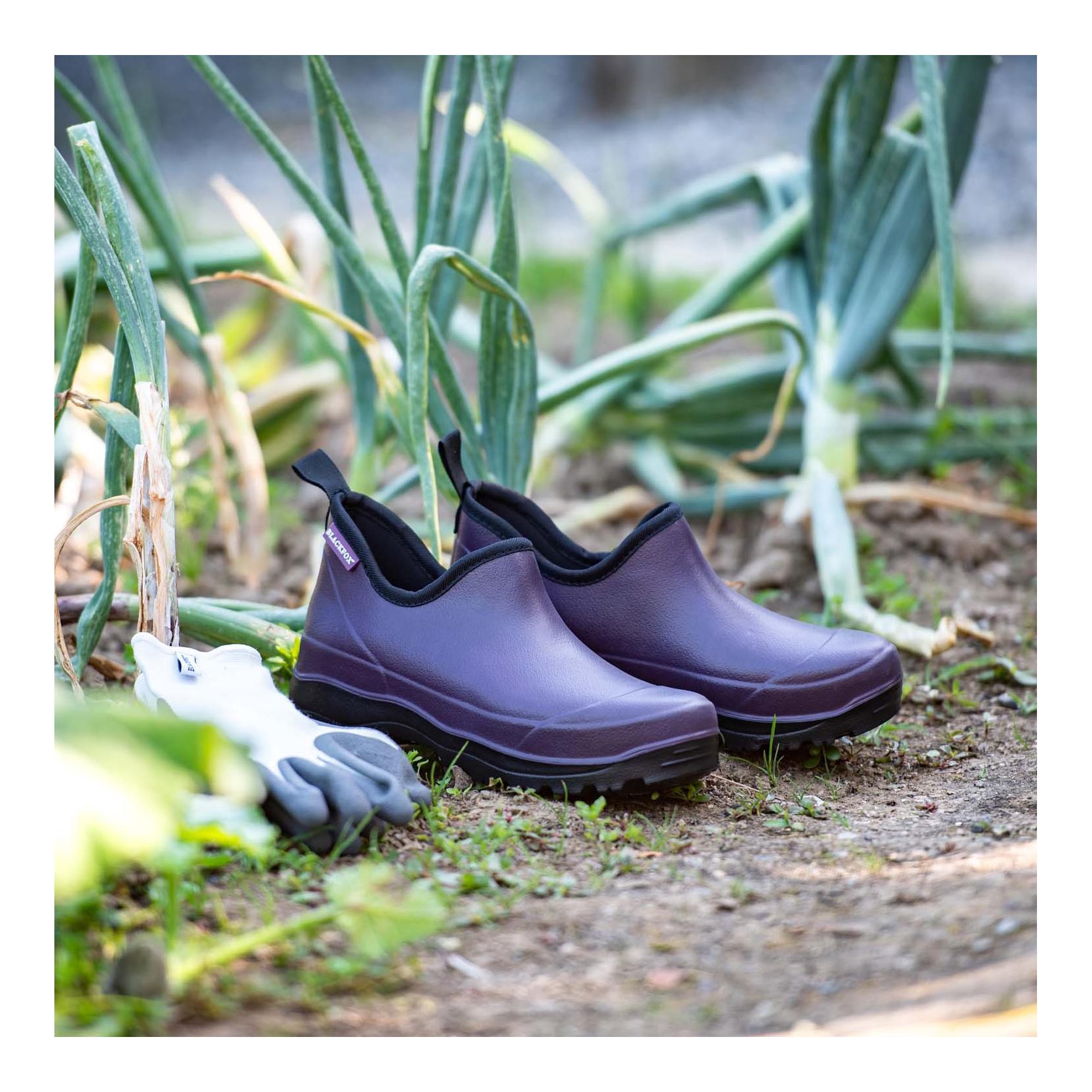 AJS Blackfox Oregon Stiefelette