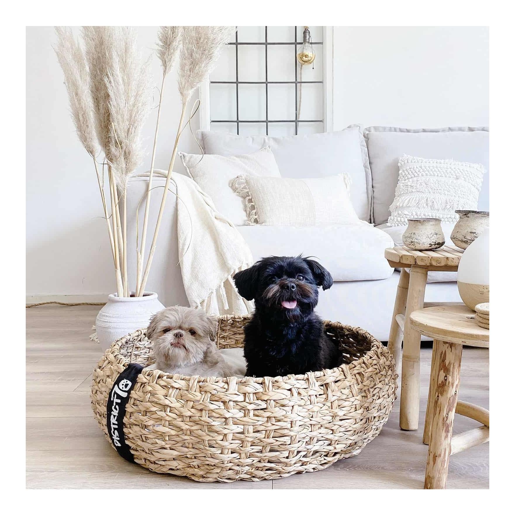 District70 Hundebett Cocoon Natural