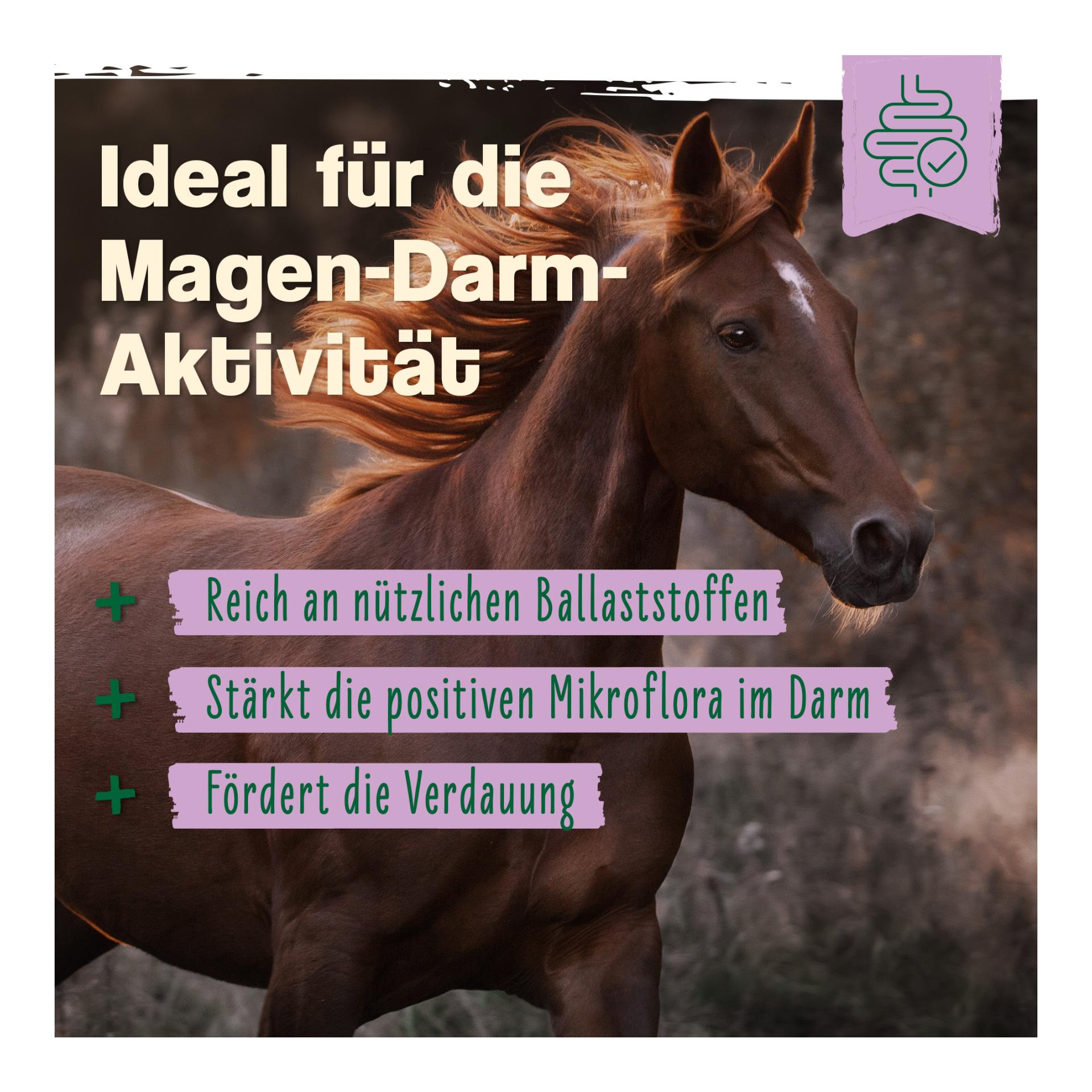 IdaPlus Levure de bière Bt - Complément alimentaire pour un pelage brillant et une peau forte