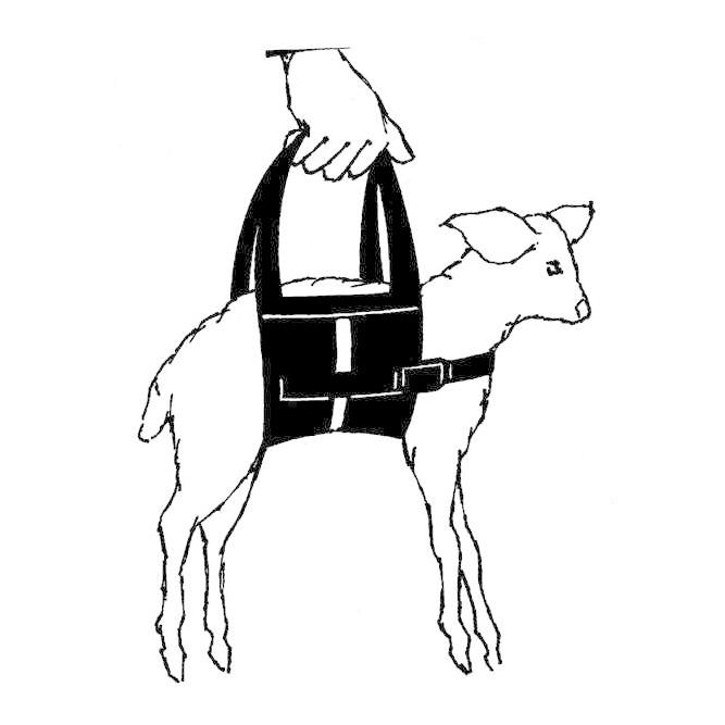 Meekes Lamm-Traggeschirr