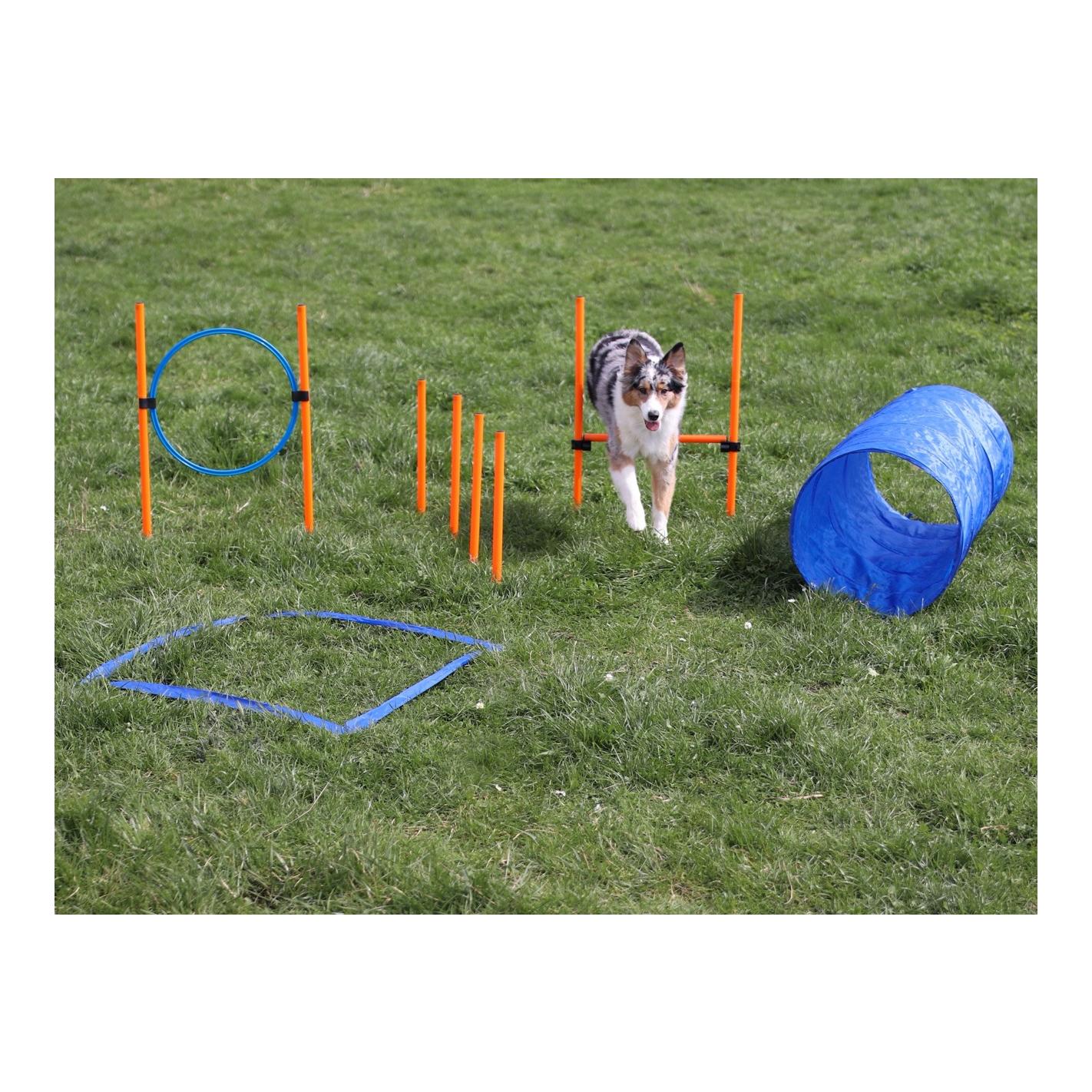 Josty Kit de démarrage Agility - entraînement pour chiens