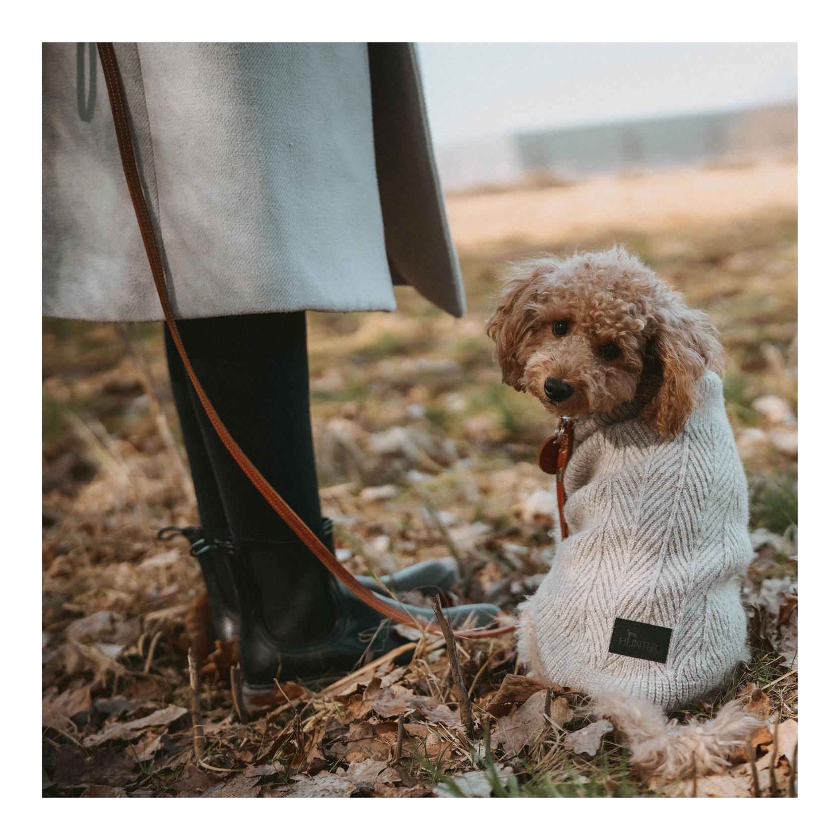 Hunter Pull pour chien Genève