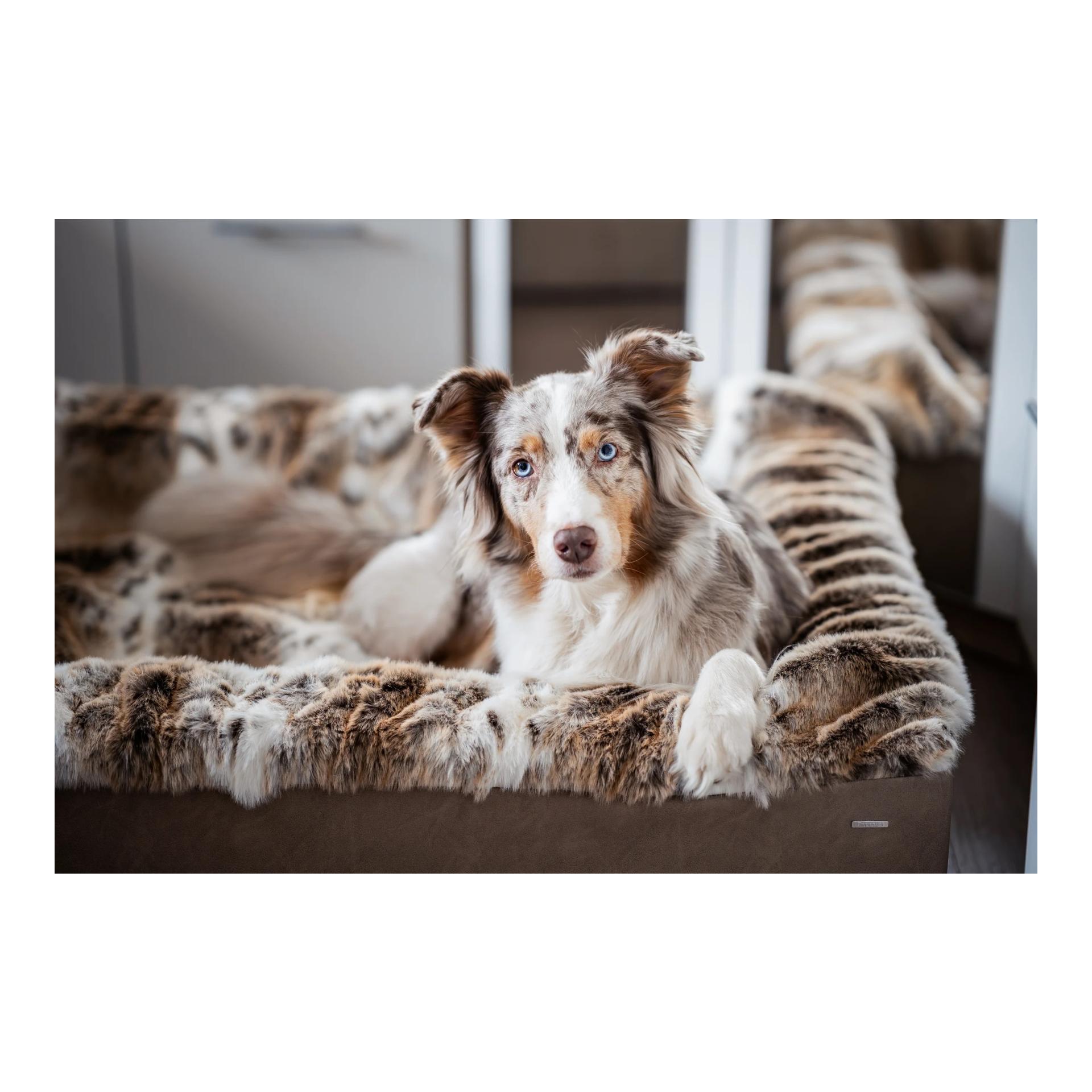 Dogspring by MAUL Hundebett Buddelbox® - luchs