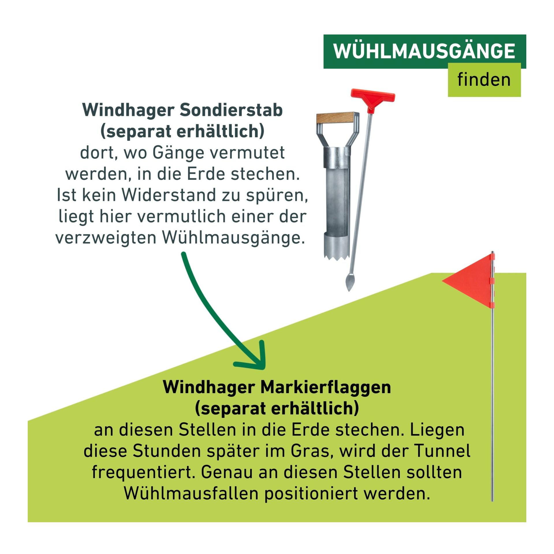 Windhager Piège à campagnols Standard