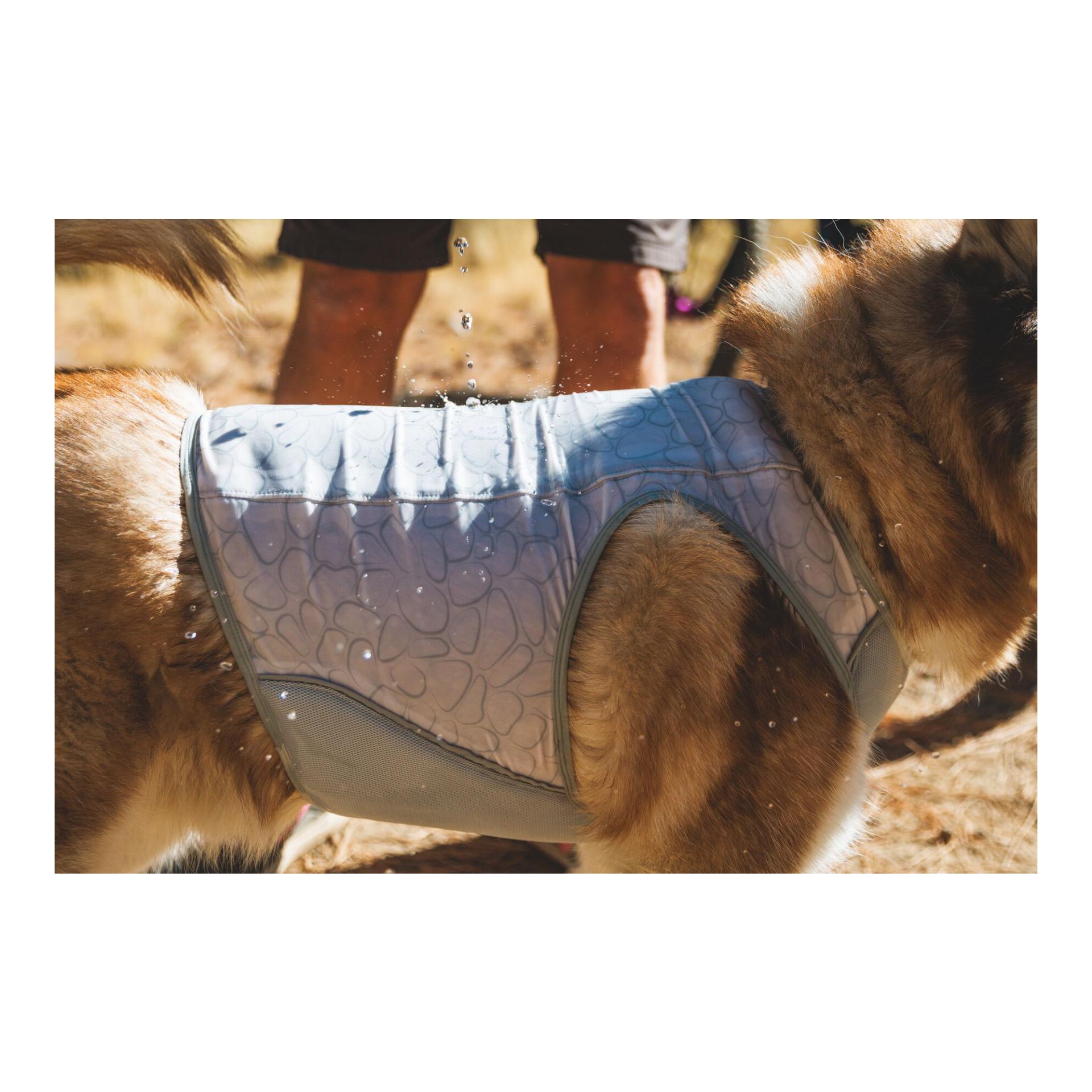 Ruffwear Swamp Cooler™ gilet rafraîchissant pour chiens