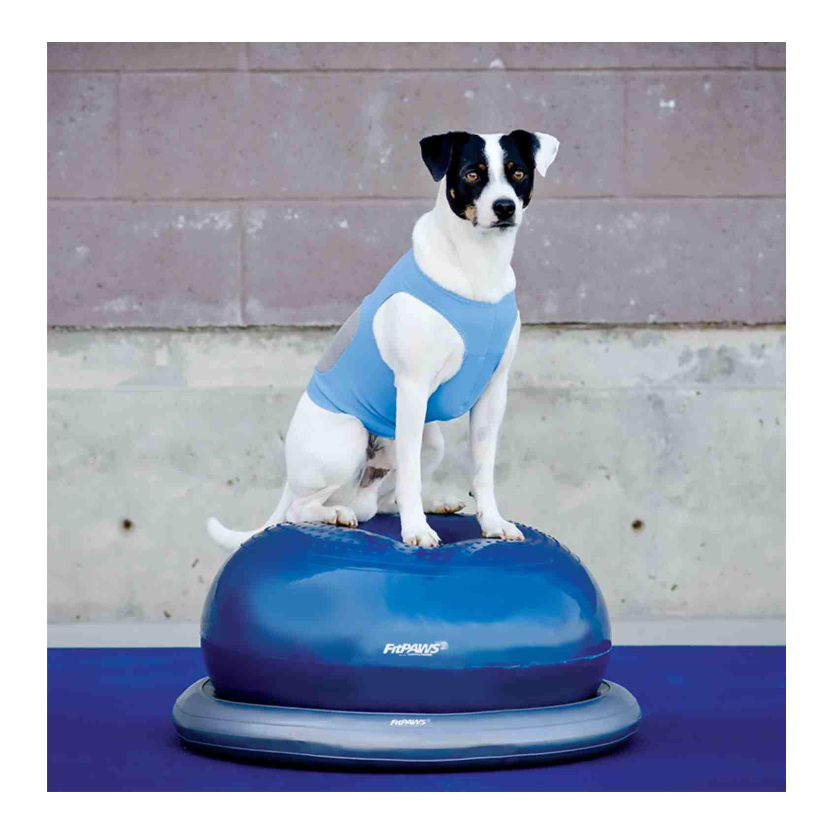 FitPaws Porte-donuts FitPAWS