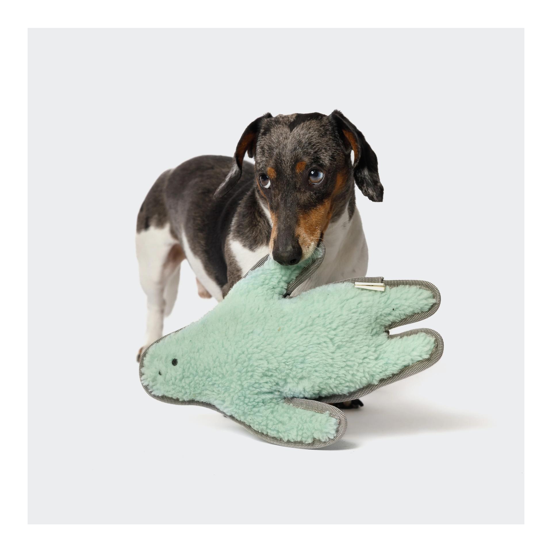 Cloud 7 Jouet pour chien Monster Sam