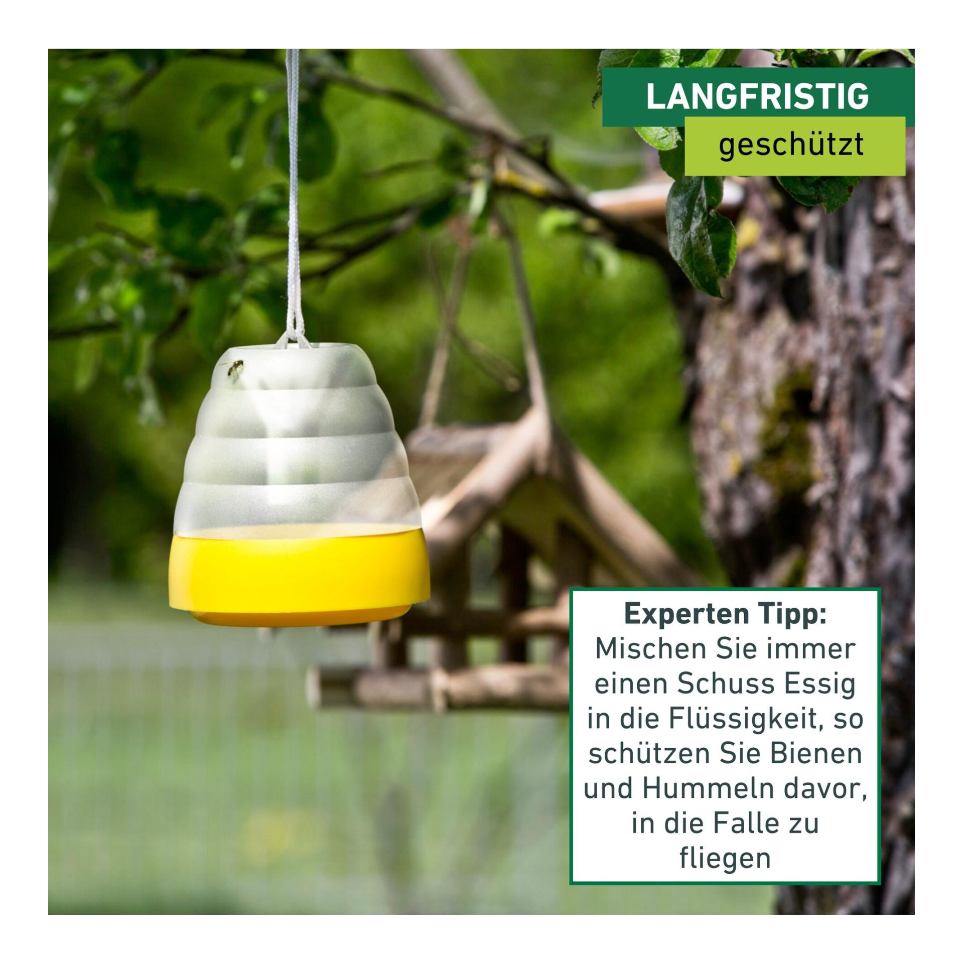 Windhager Piège décoratif à guêpes ou mouches - jaune
