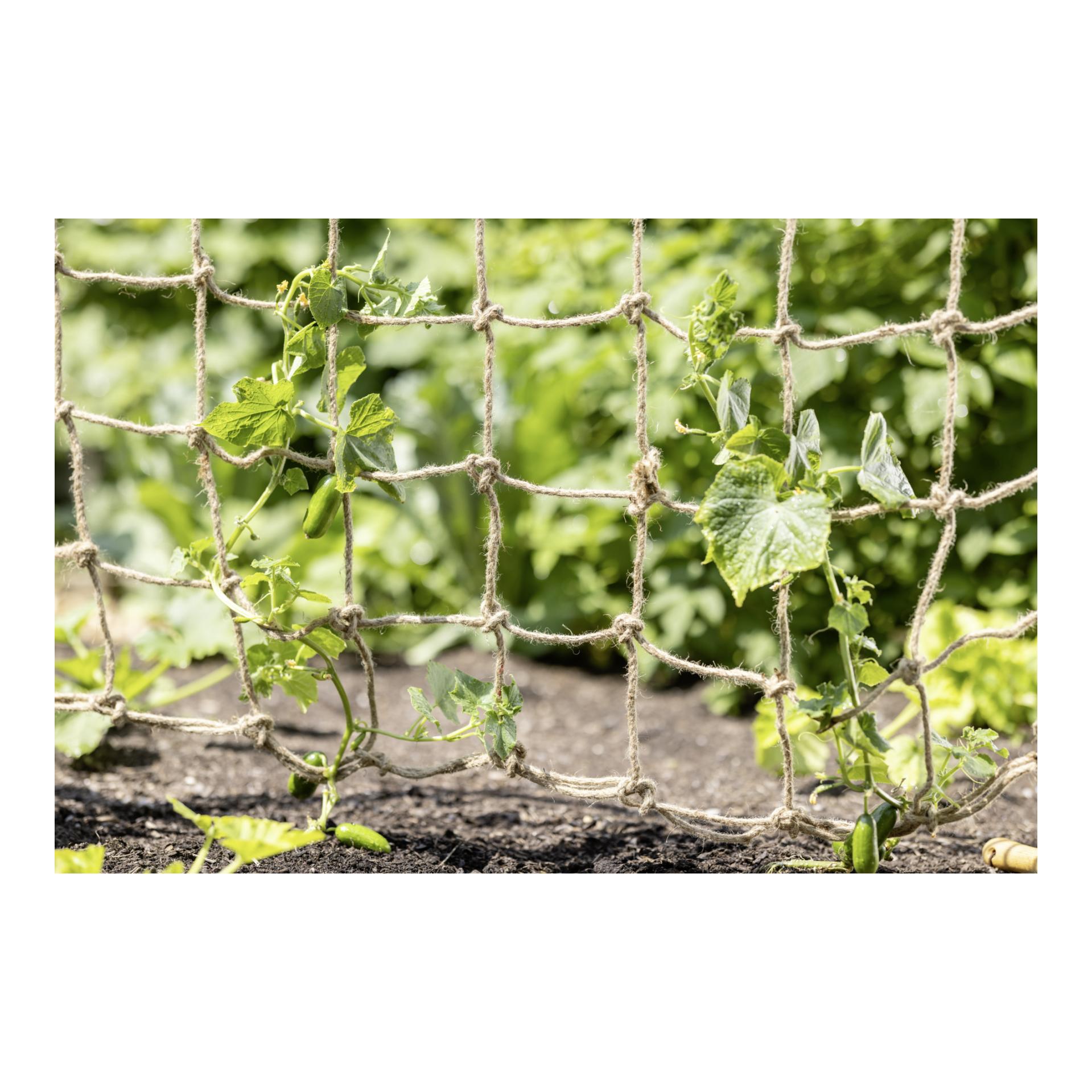 Windhager Filet de palissage professionnel en jute XL Greenline