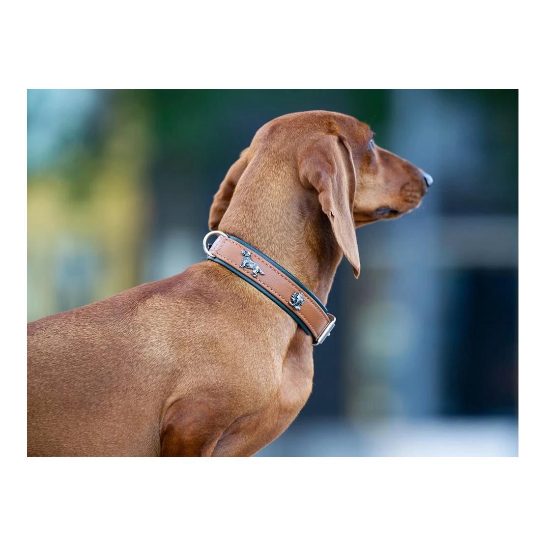Maul Lederwaren Hundehalsband Dackel
