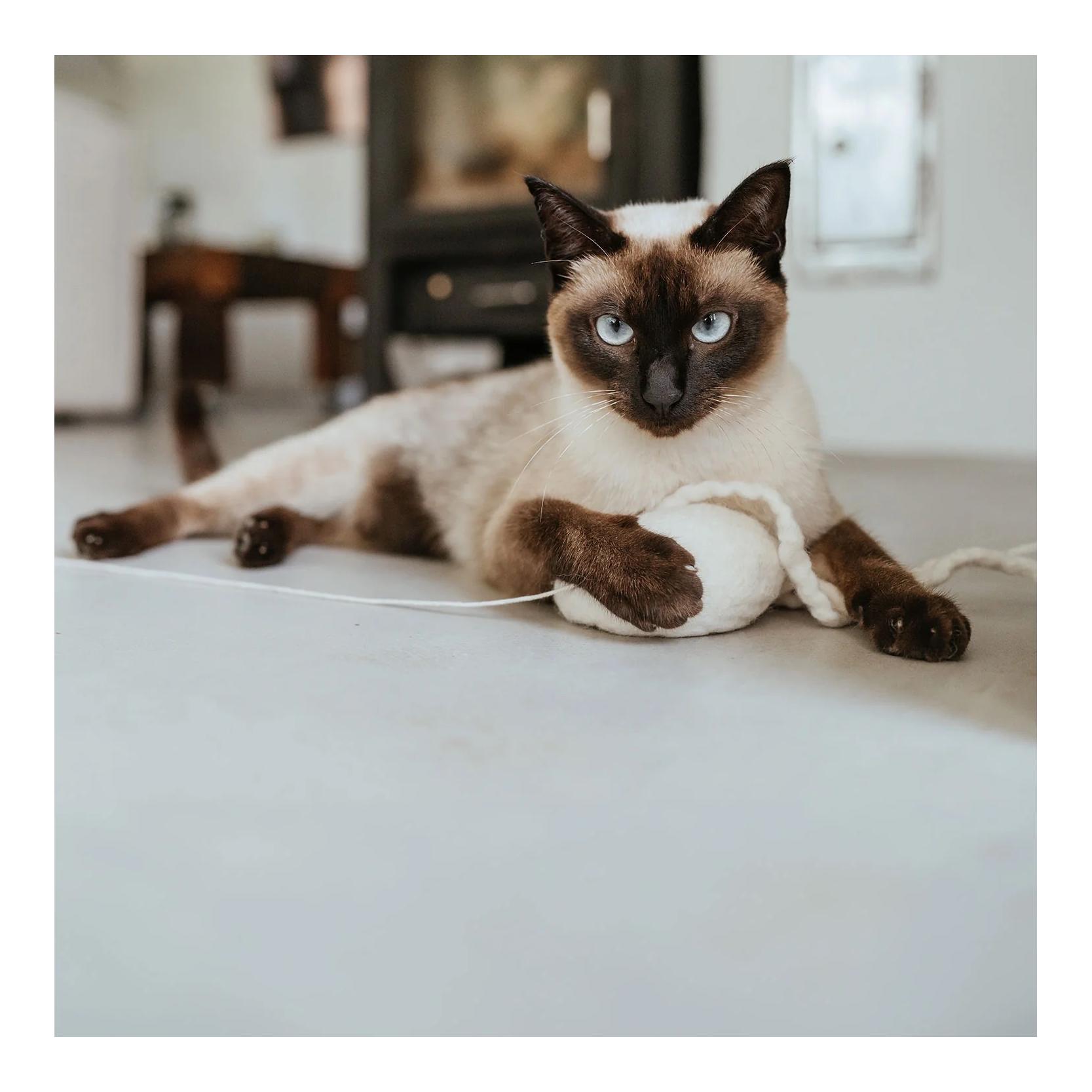 Stylecats by Hunter Katzenspielzeug Kwalle Karl
