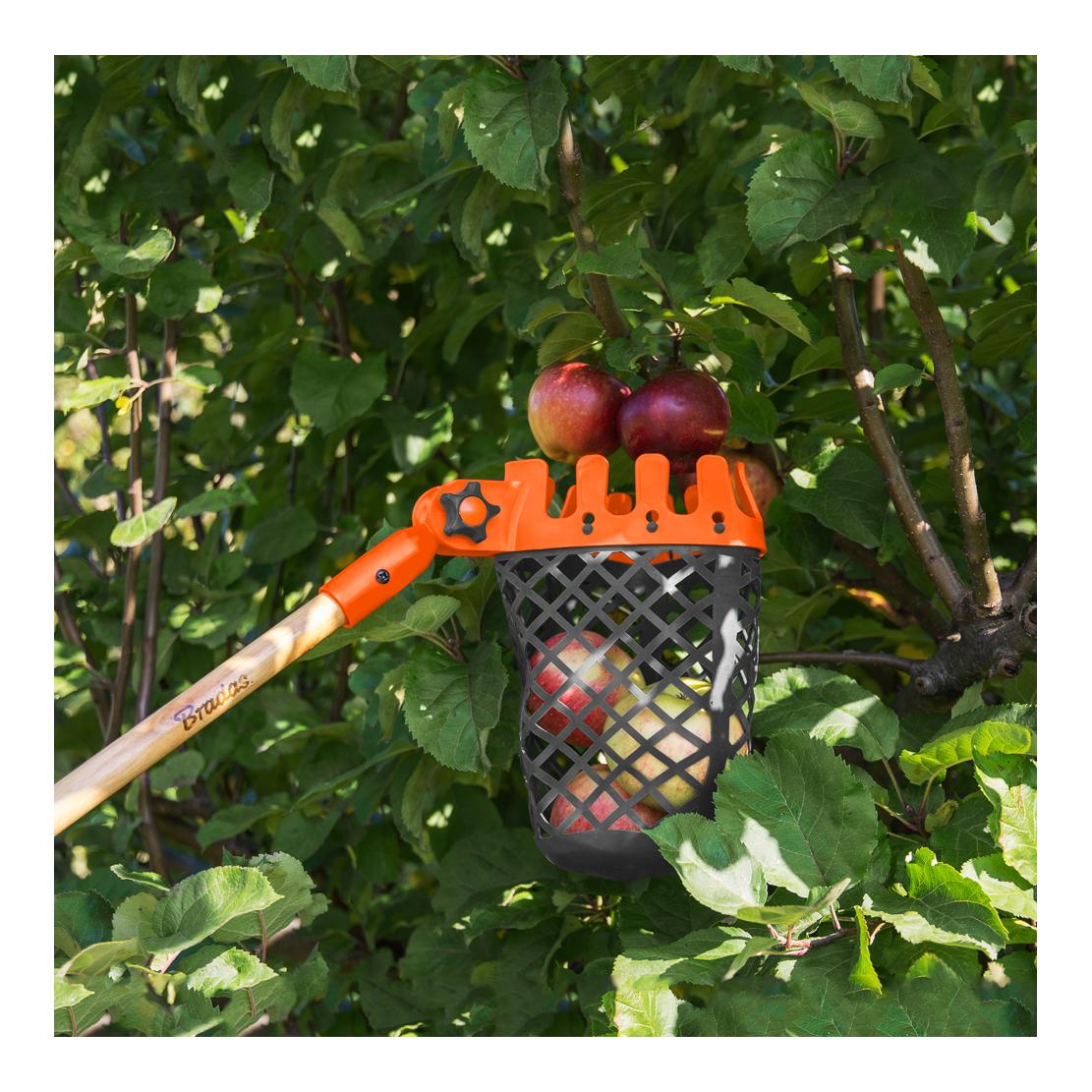 Bradas Obstpflücker - Korb ohne Stiel