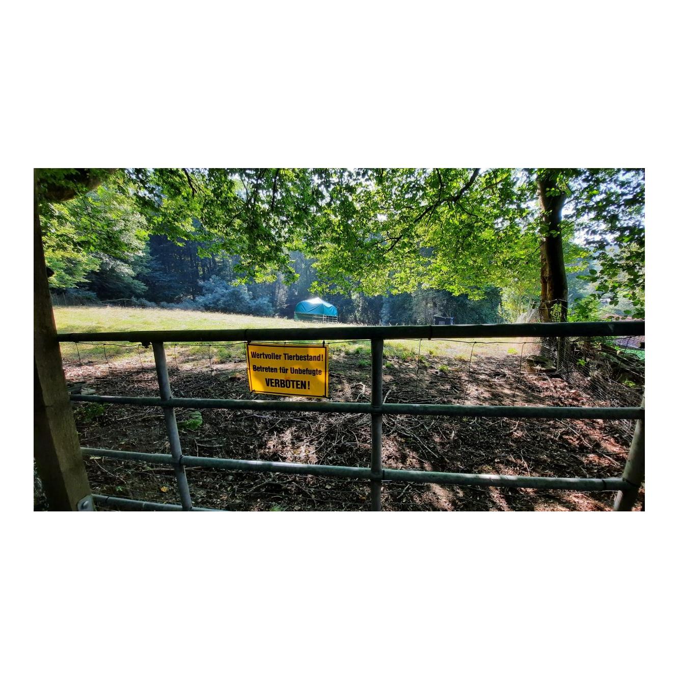 Siepmann Warnschild "Wertvoller Tierbestand"