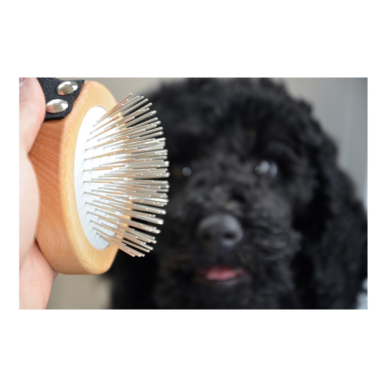 Treusinn. Peigne pour chiens ZOTTL poil long