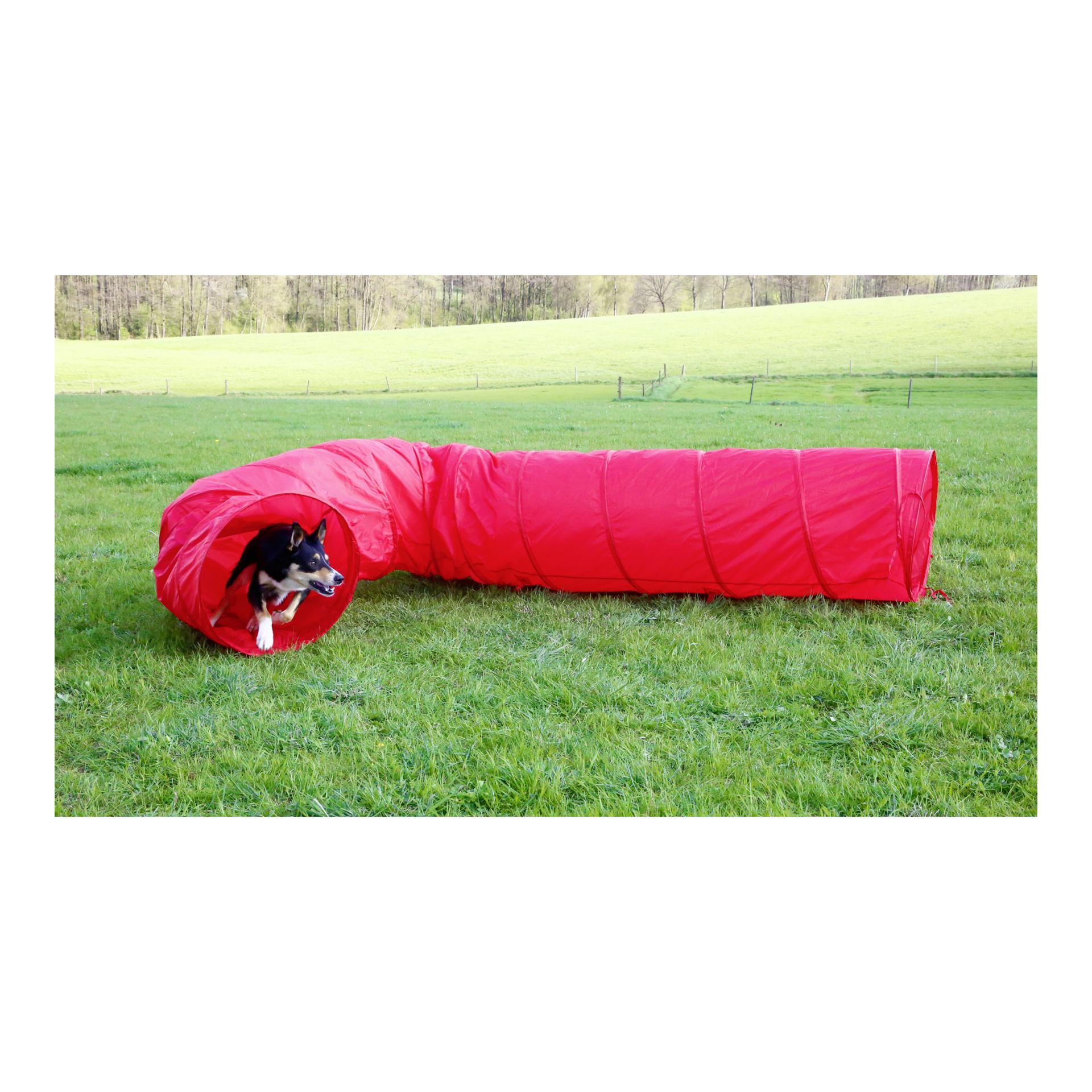 Kerbl Pet Tunnel pour chien Agility 5 m - rouge
