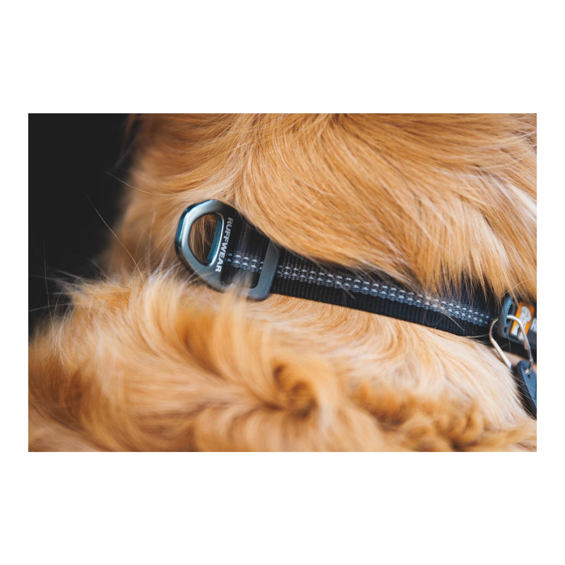 Ruffwear Collier pour chien Top Rope Collar
