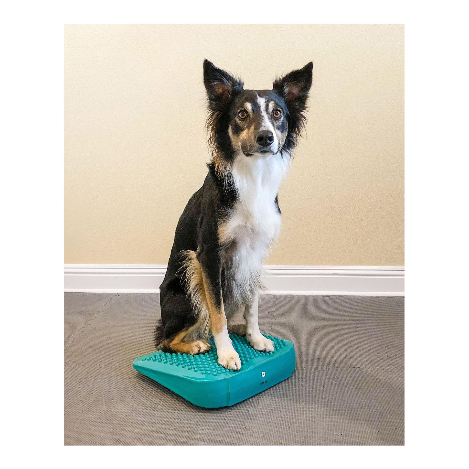 FitPaws Balance Ramp