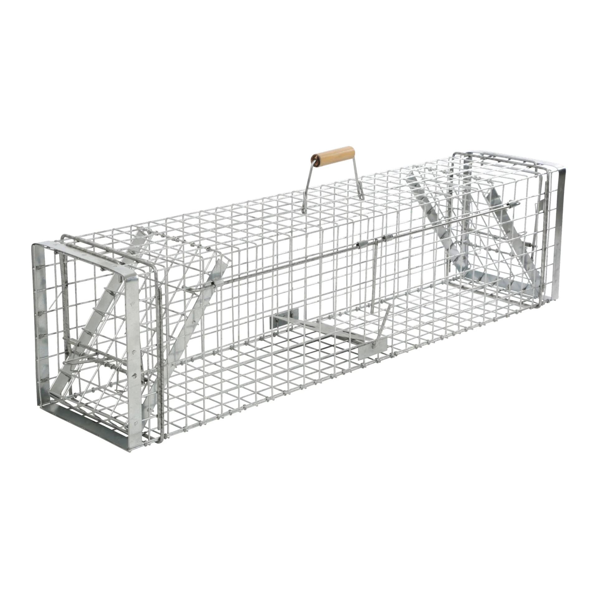 Kerbl Piège à cage Alive Predator Super