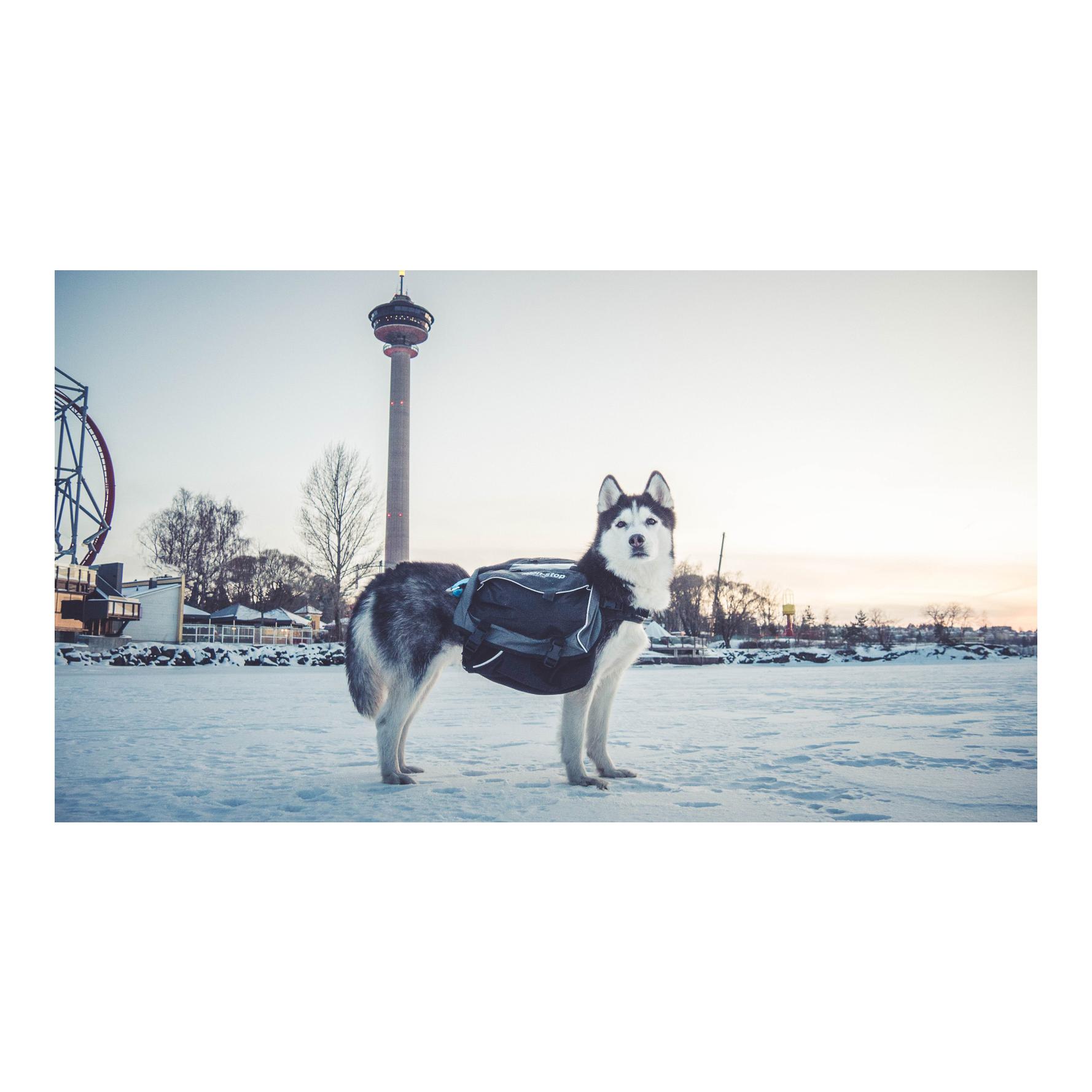 Non-stop Dogwear Amundsen Pack