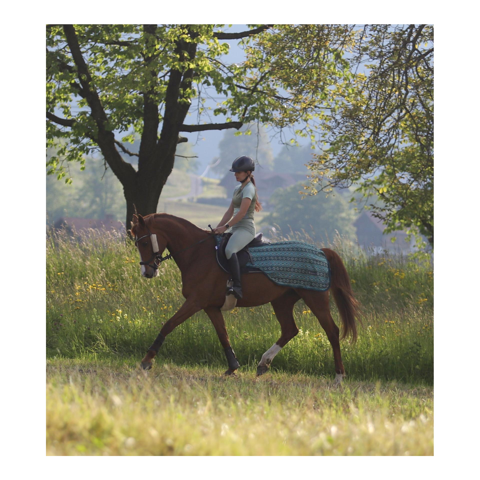 Stallone Couvre-reins anti-mouches Summer Stroll