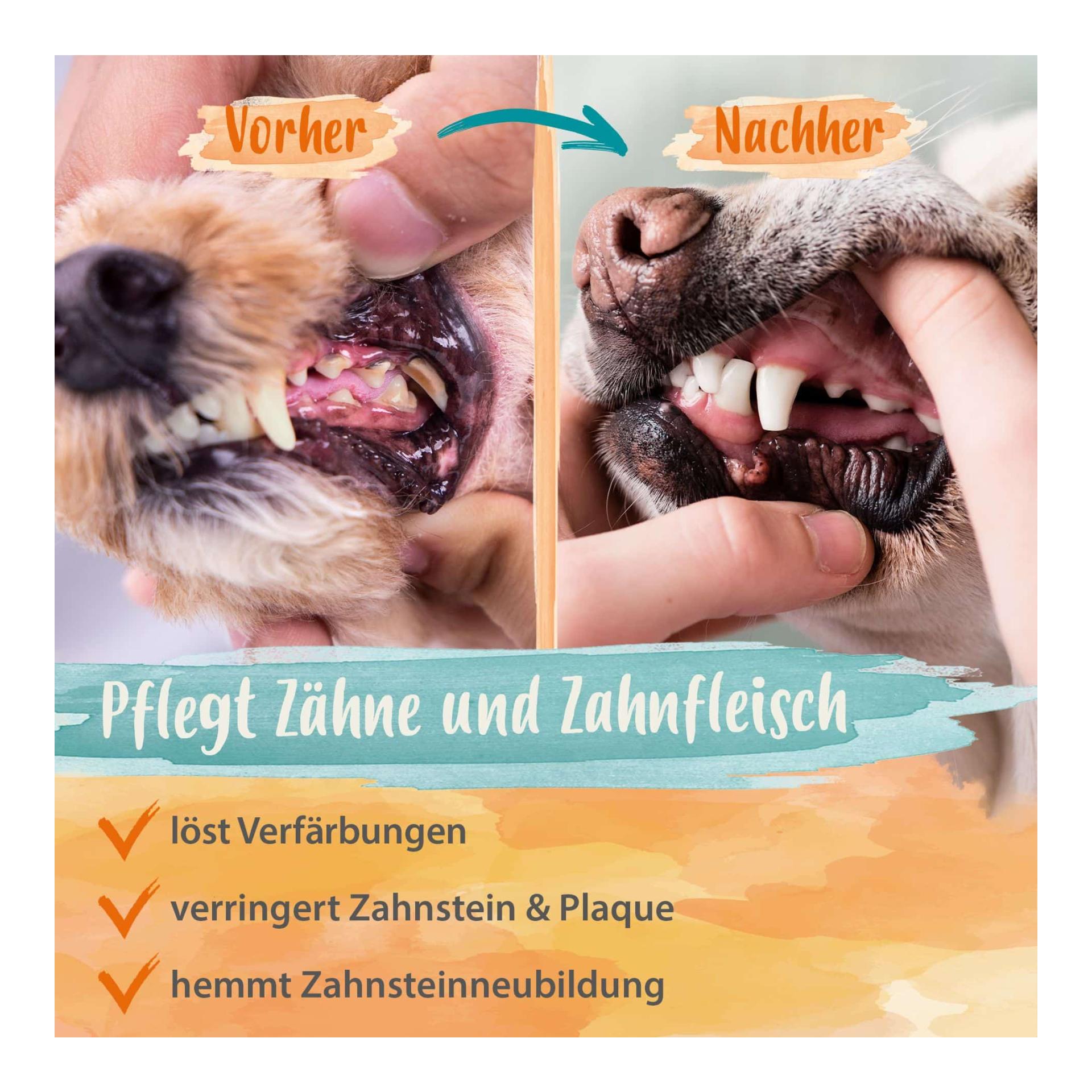 IdaPlus Denta Dog - kinderleichte Hunde Zahnpflege - stoppt Hunde Mundgeruch