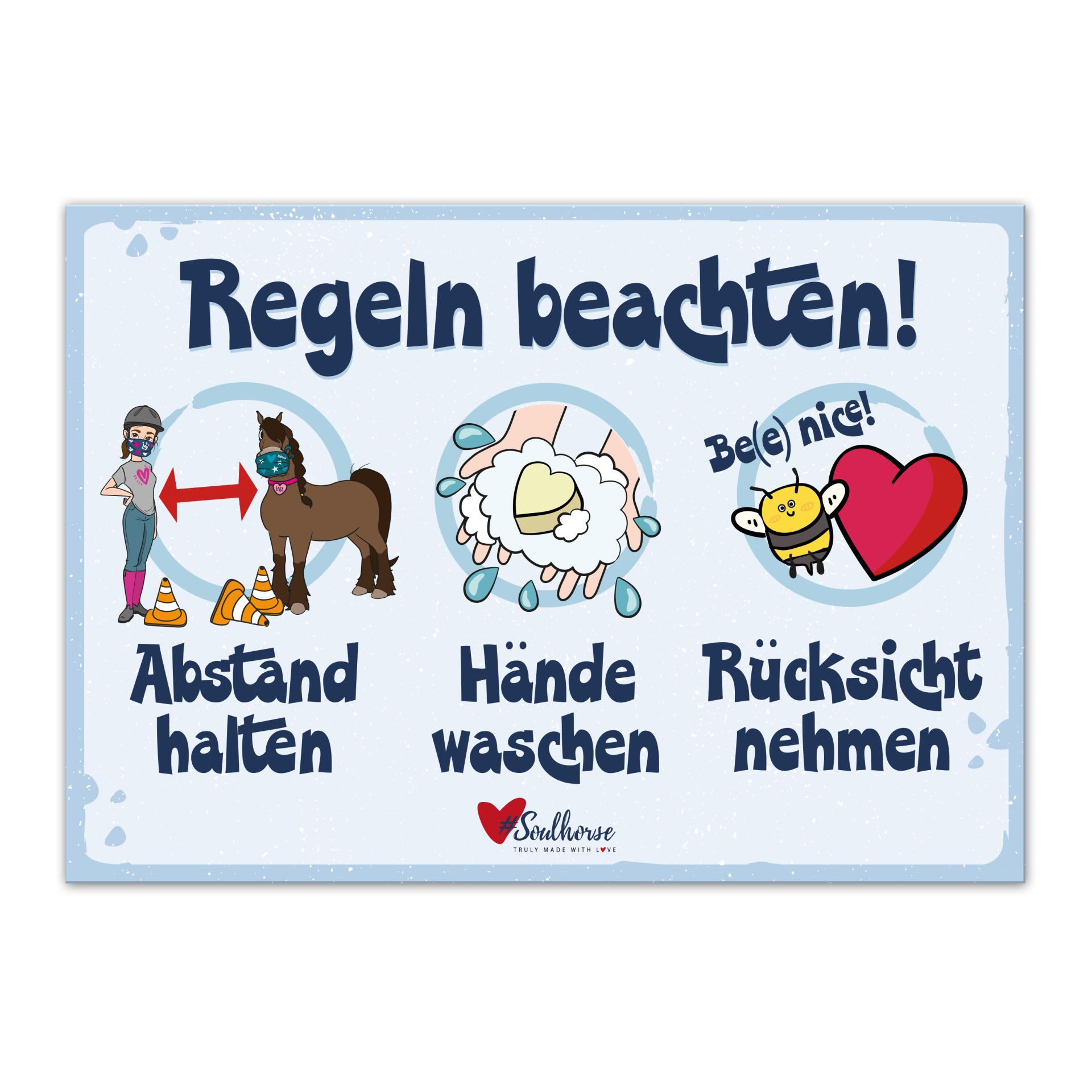 Soulhorse “Regeln beachten” Stallschild Glacier-deepsea