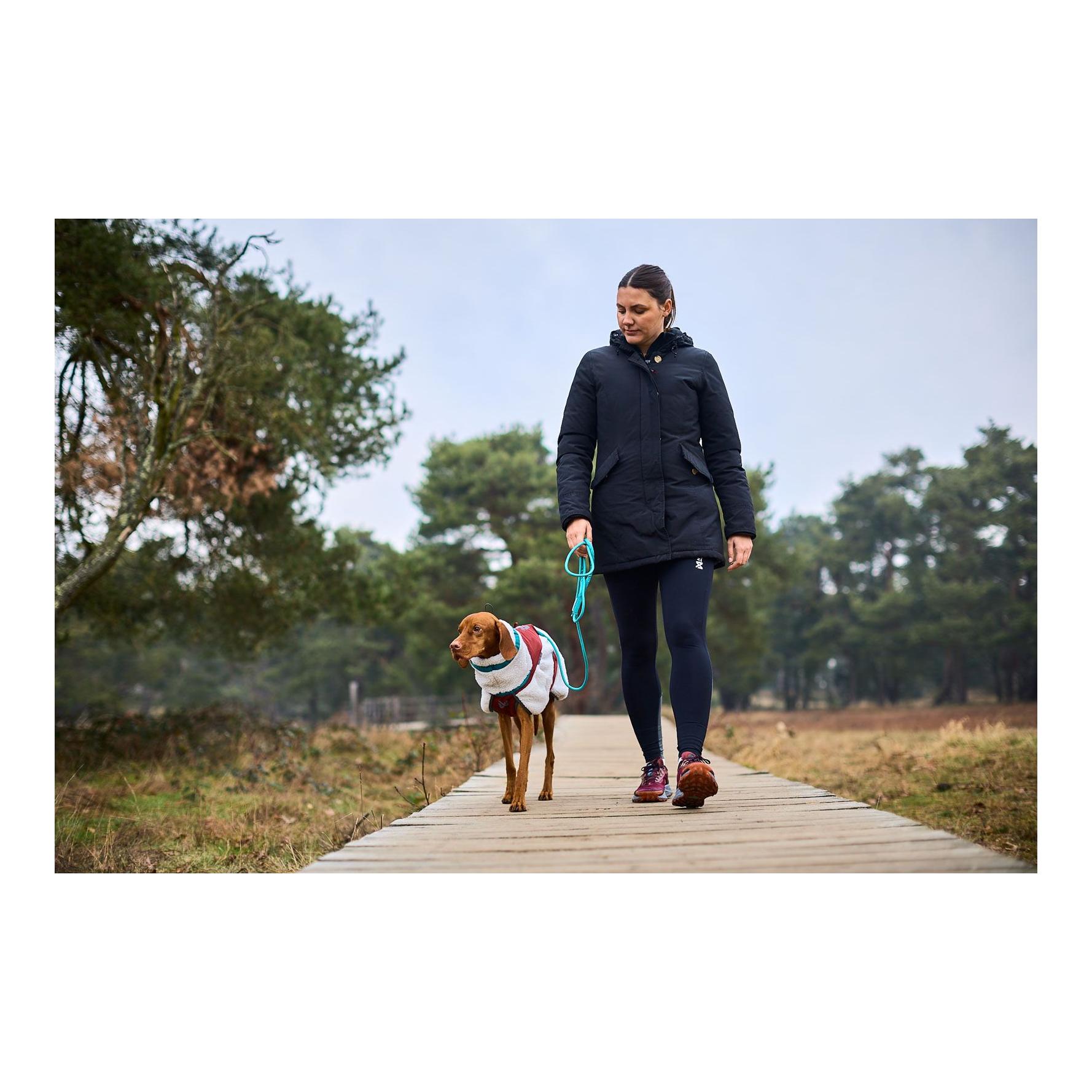 Non-stop Dogwear Laisse pour chien Trekking Rope Leash, 6mm